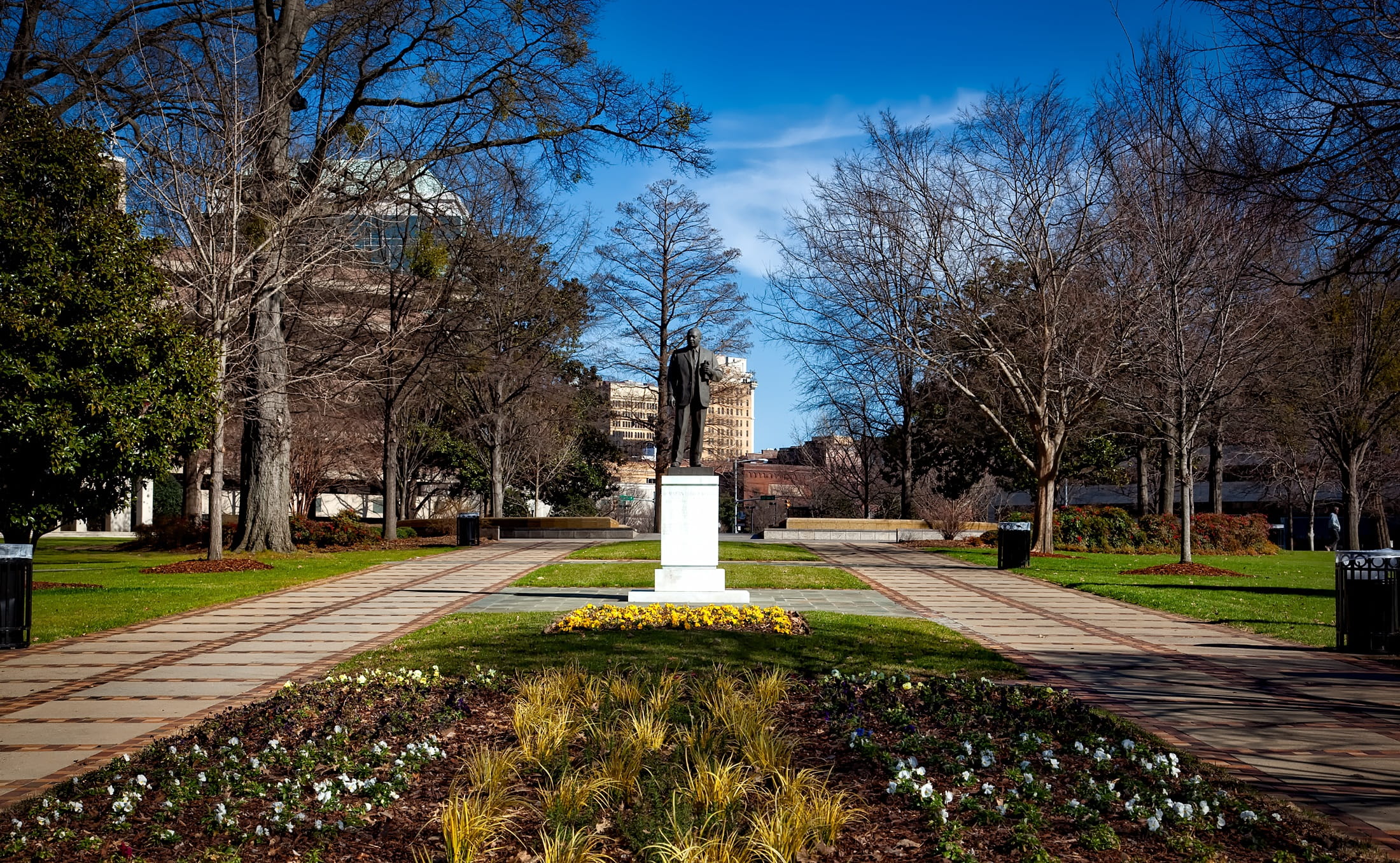 civil rights, clouds, history, man, bare tree, alabama, plant, Birmingham, hdr, city, grass, park - man made space, plants, downtown, outdoors, grave, statue, HD Wallpaper