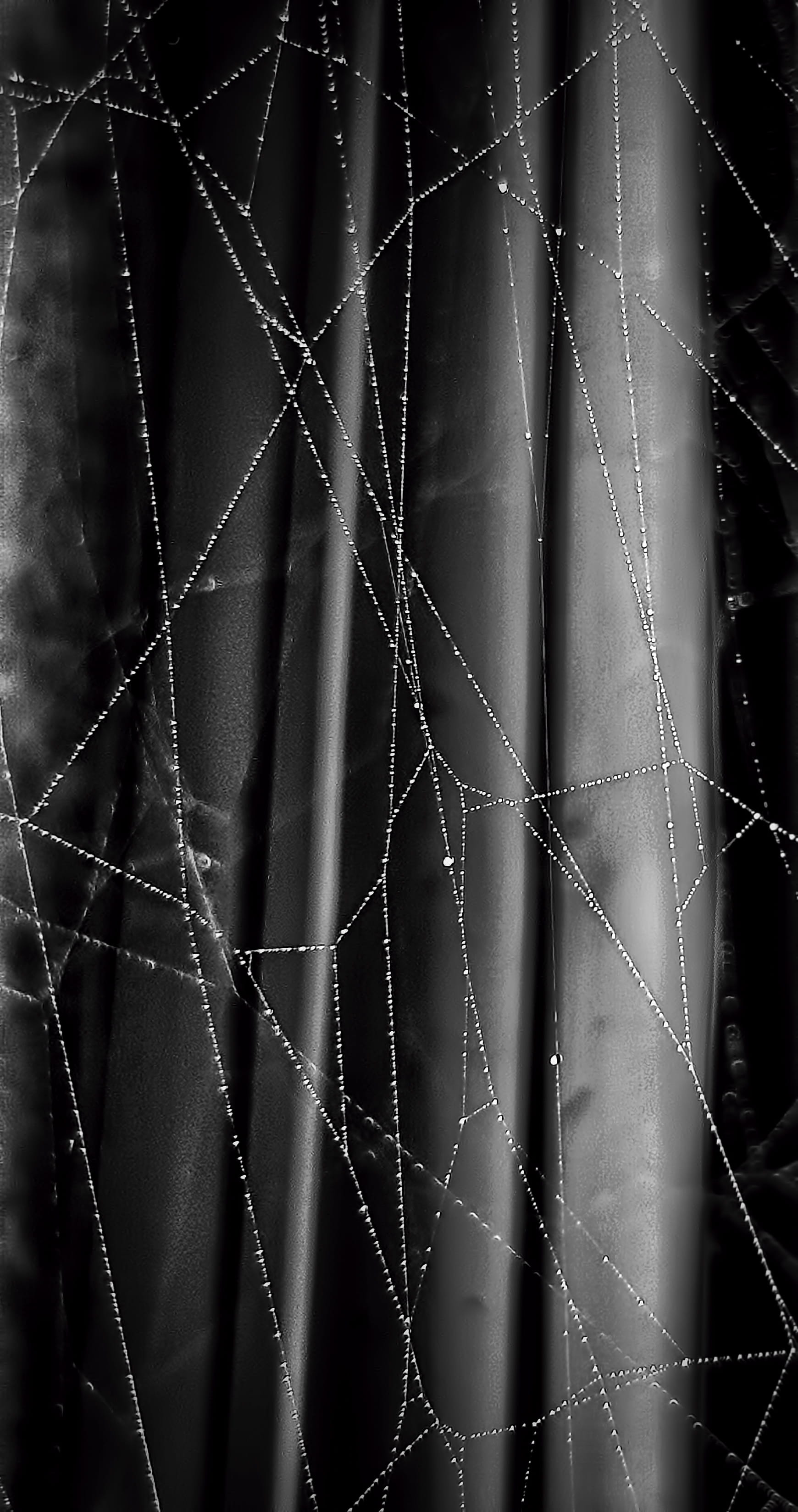 beauty in nature, strings, close-up, fragility, black background, natural pattern, outdoors, drop, full frame, 2K, clarinet, backgrounds, droplet, pattern, Phone HD Wallpaper