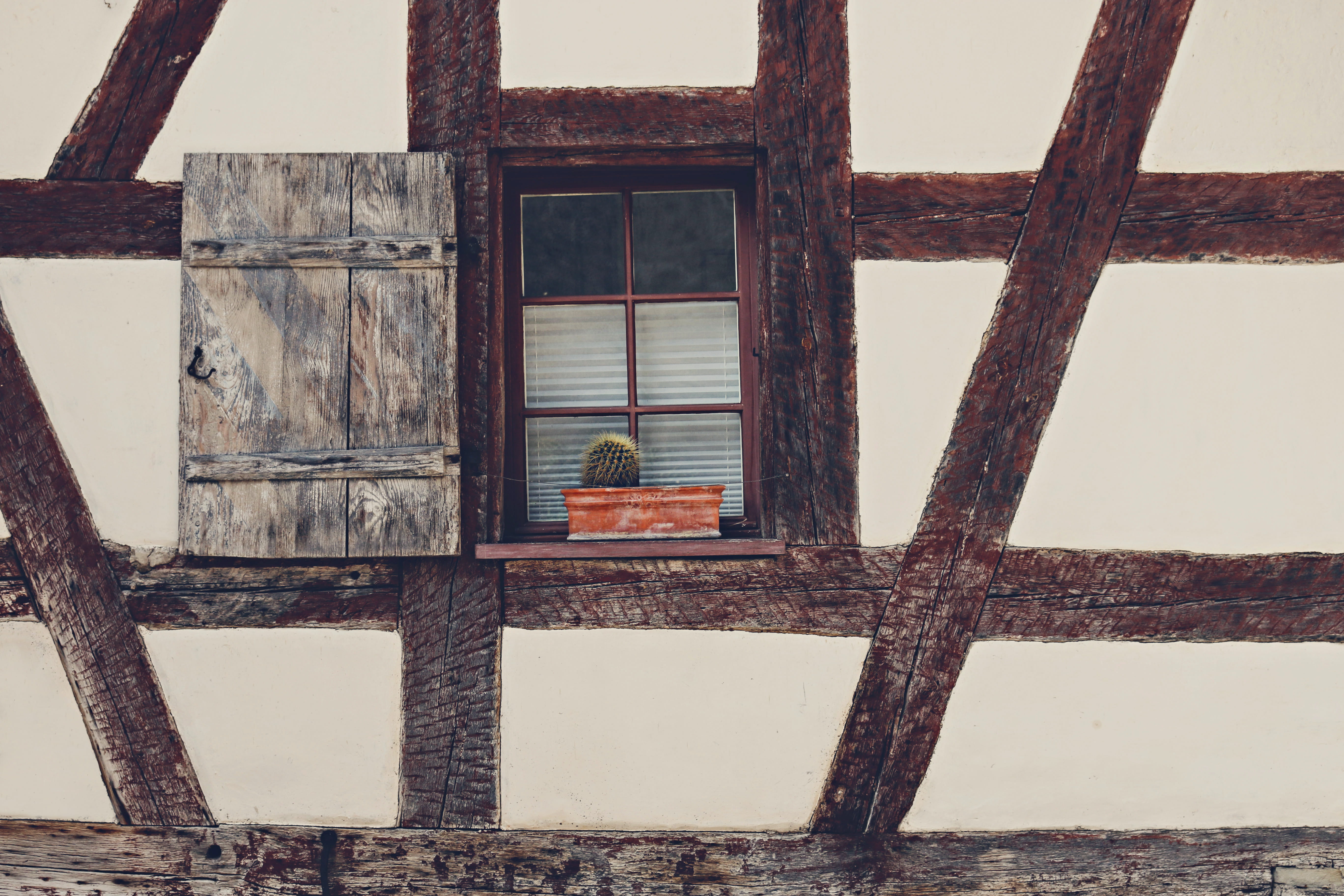 wall - building feature, white, minimal, animal, bird, walkway, rust, finch, old, brick, architecture, open window, day, residential district, flicker bird, HD Wallpaper