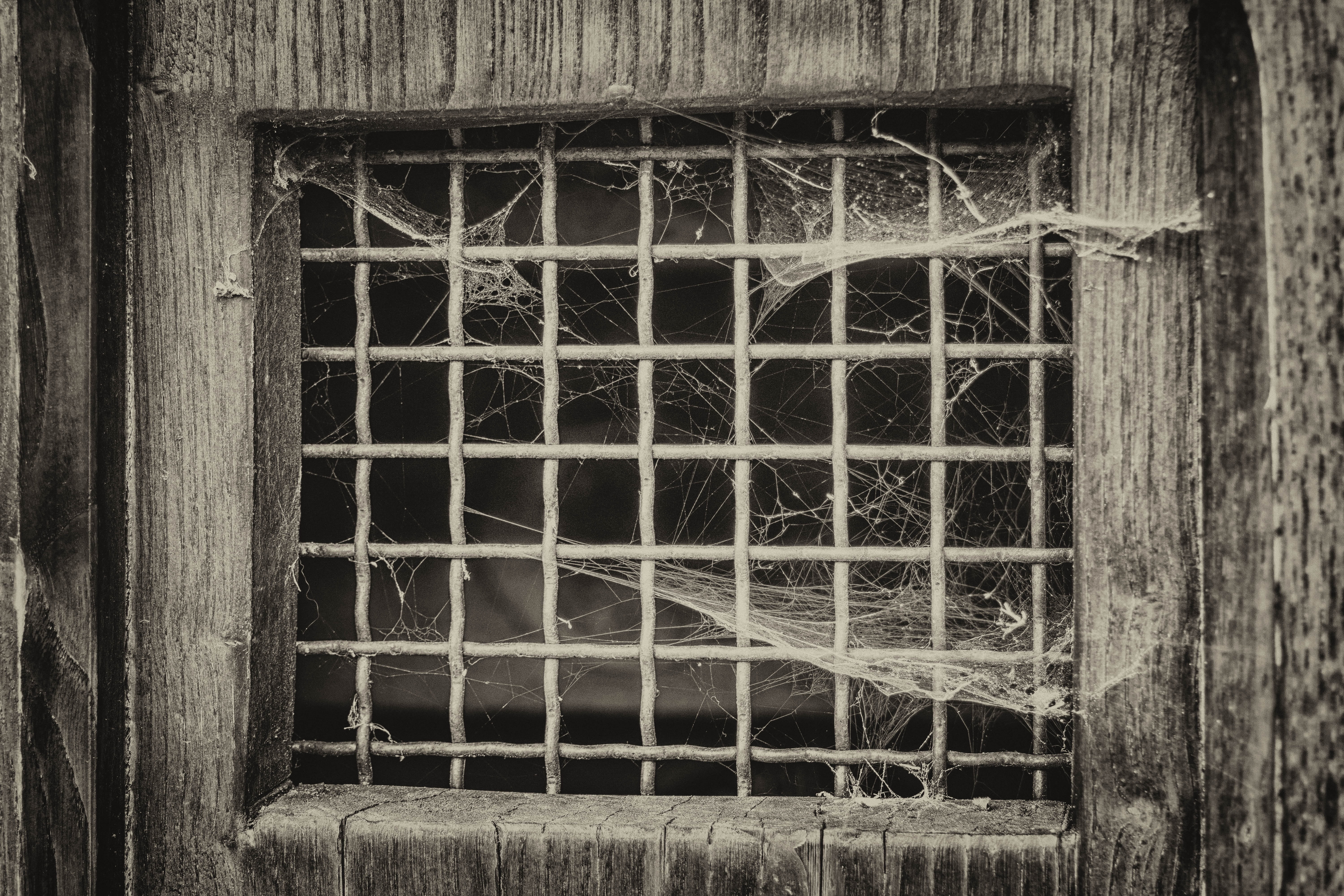 protection, no people, caught, built structure, window, black and white, mood, wire, old, starve, photo, web, metal, wall, entrance, 5K, abandoned, dom, HD Wallpaper