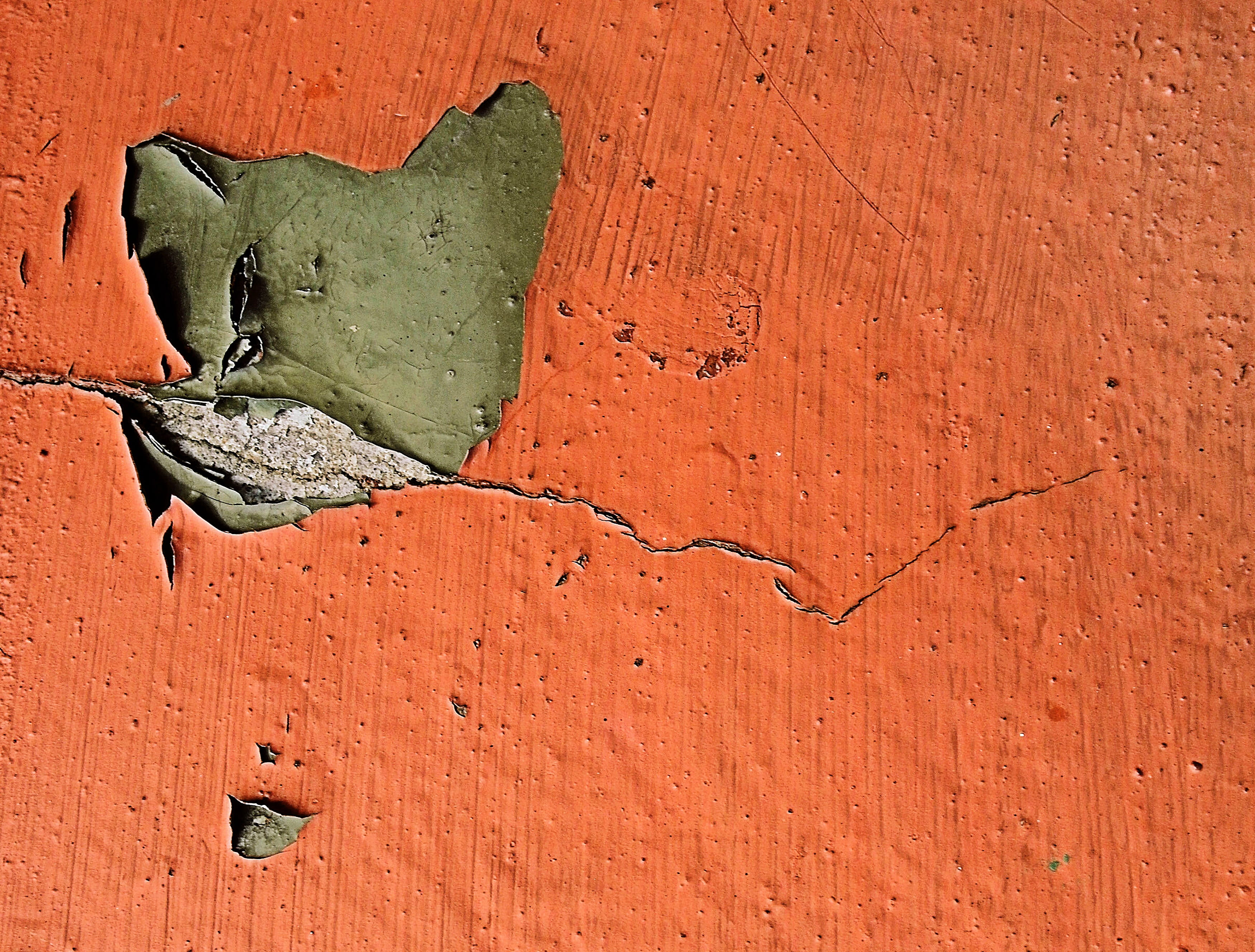 toad, sunlight, architecture, rust, cracked, day, close-up, weathered, wood - material, backgrounds, plant, invertebrate, tree, outdoors, insect, built structure, HD Wallpaper