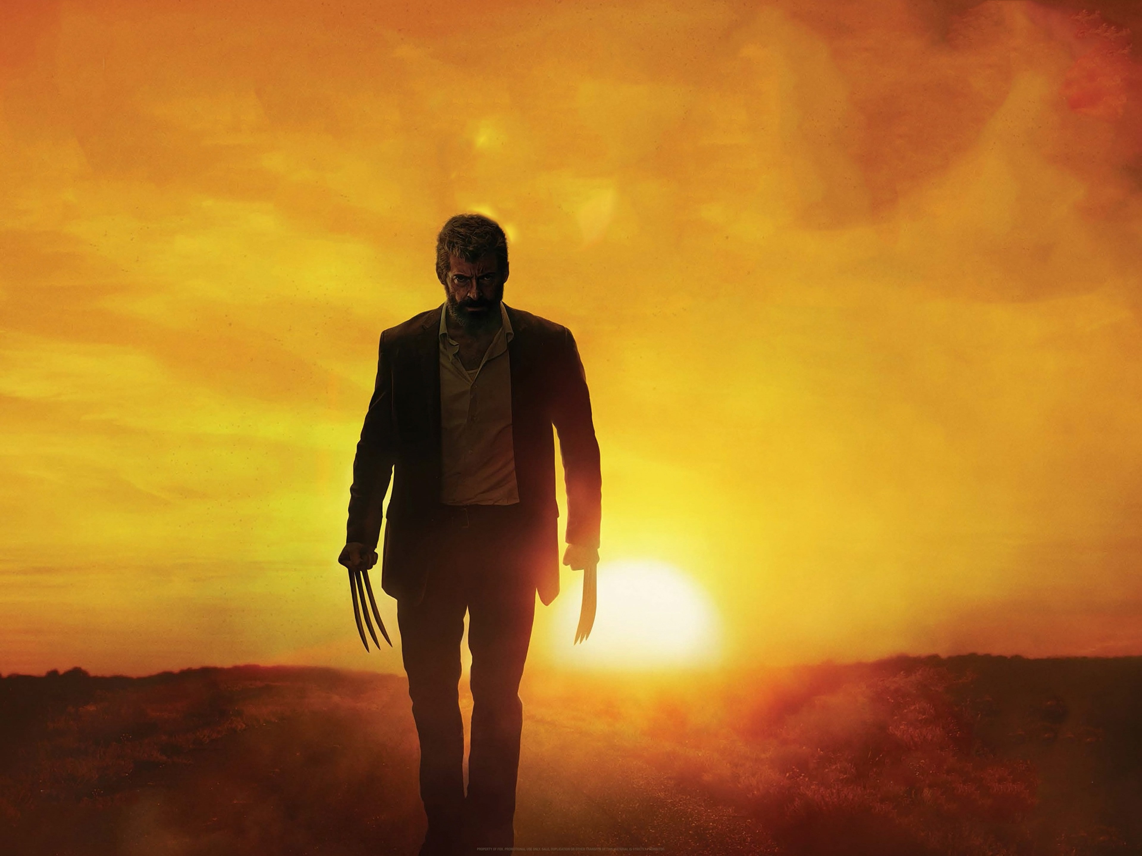 Logan (2017), 4K, hugh jackman, HD Wallpaper