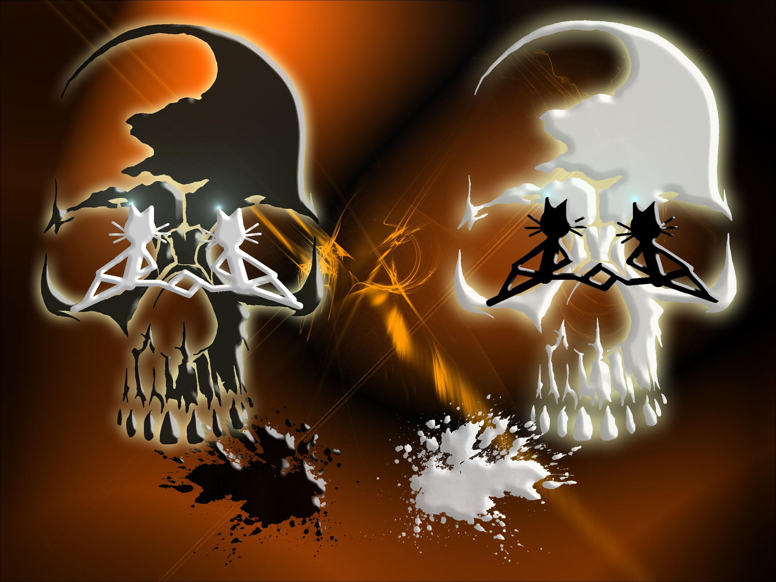 white, for windows, skull, pets, black, kittycat, animals, paintings, cat, 2K, cats, halloween, HD Wallpaper