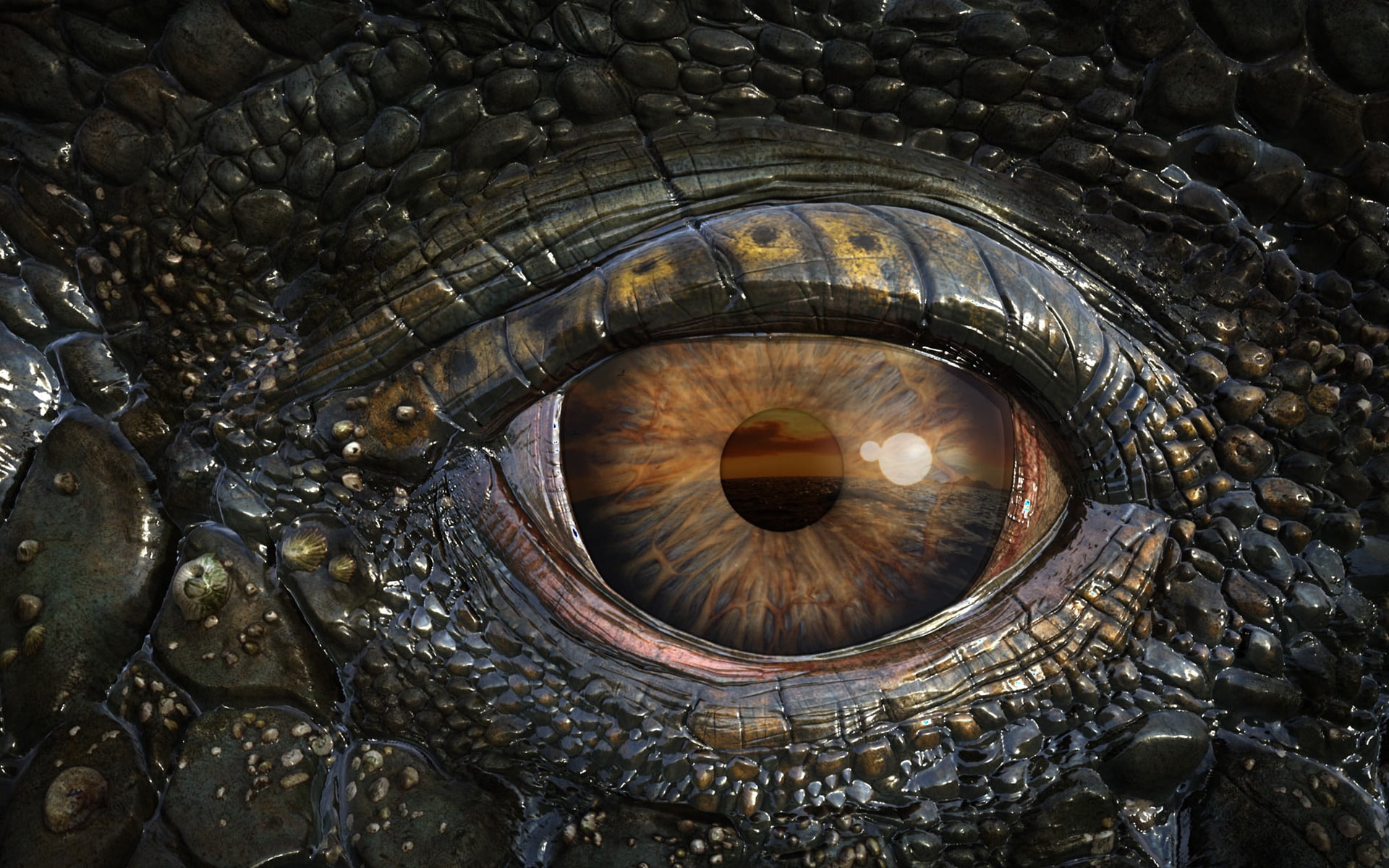 eye, 1080P, dinosaur, mosasaur, HD Wallpaper
