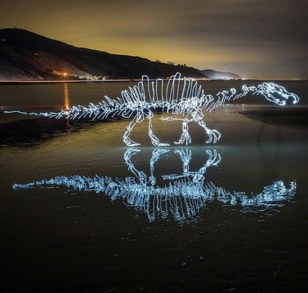 light painting, evening, water, Stegosaurus, 480P, dinosaurs, HD Wallpaper