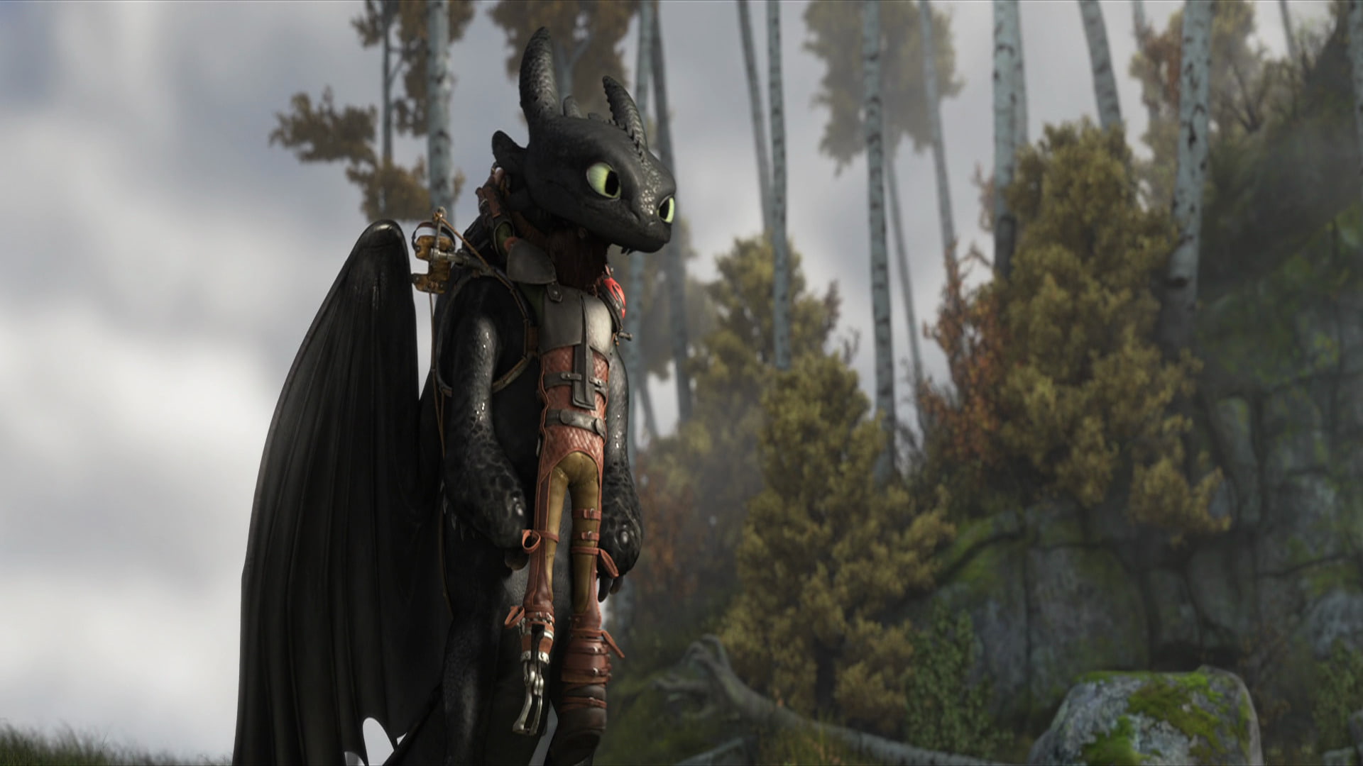 Toothless (How to Train Your Dragon), Movie, How to Train Your Dragon 2, Hiccup (How to Train Your Dragon), 1080P, HD Wallpaper