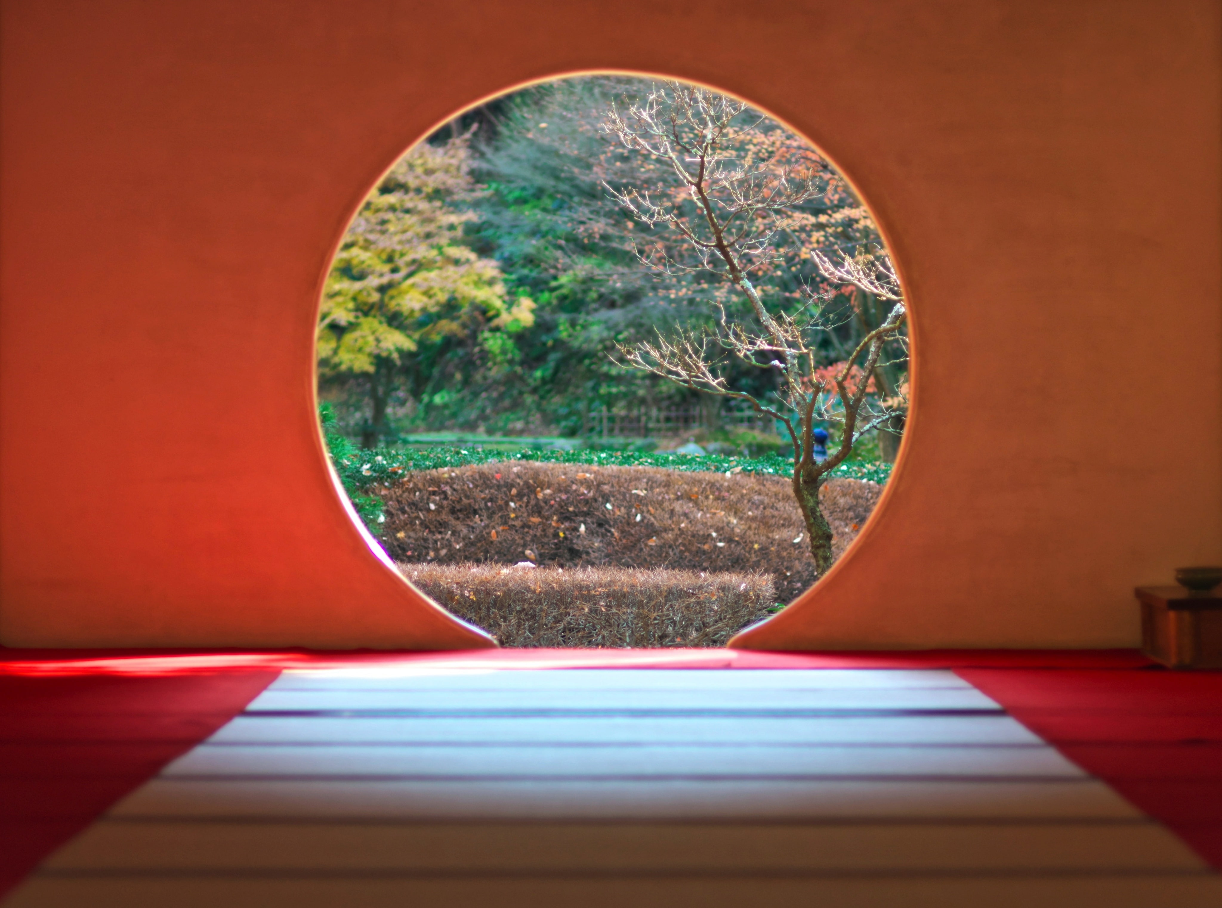reflection, indoor, circle, Temple, wall, Japan, no people, brown, mirror, kamakura, silkypix, tree, snapseed, Travel, window, fujifilmxa1, bokeh, fujifilm, HD Wallpaper