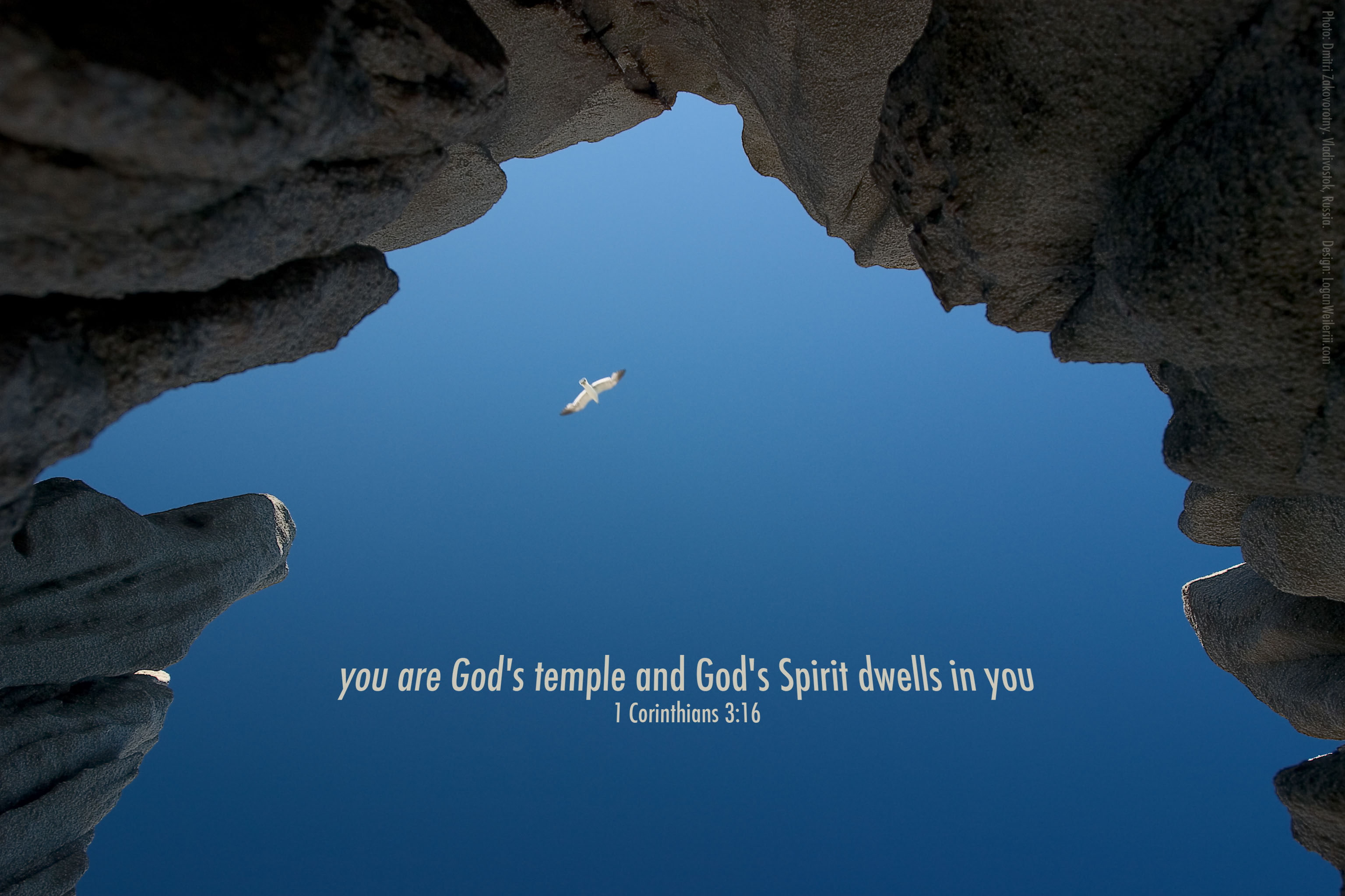 quote, verses, text, 2K, Ts, poster, bible, religion, HD Wallpaper