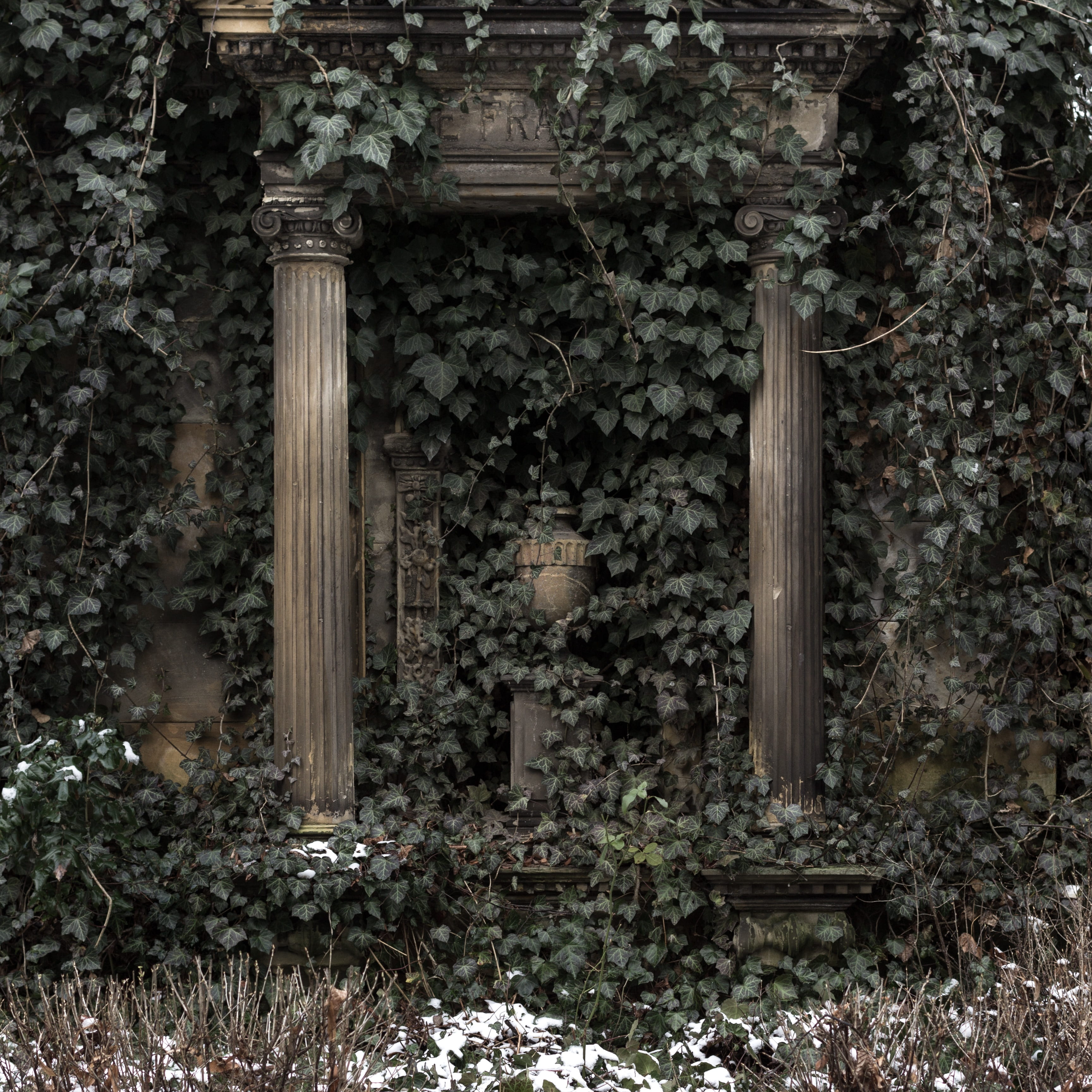 cemetery, grave, nature, history, death, mourning, dead, leave, growth, outdoors, last calm, the past, building, no people, obsolete, plant, resting place, Phone HD Wallpaper