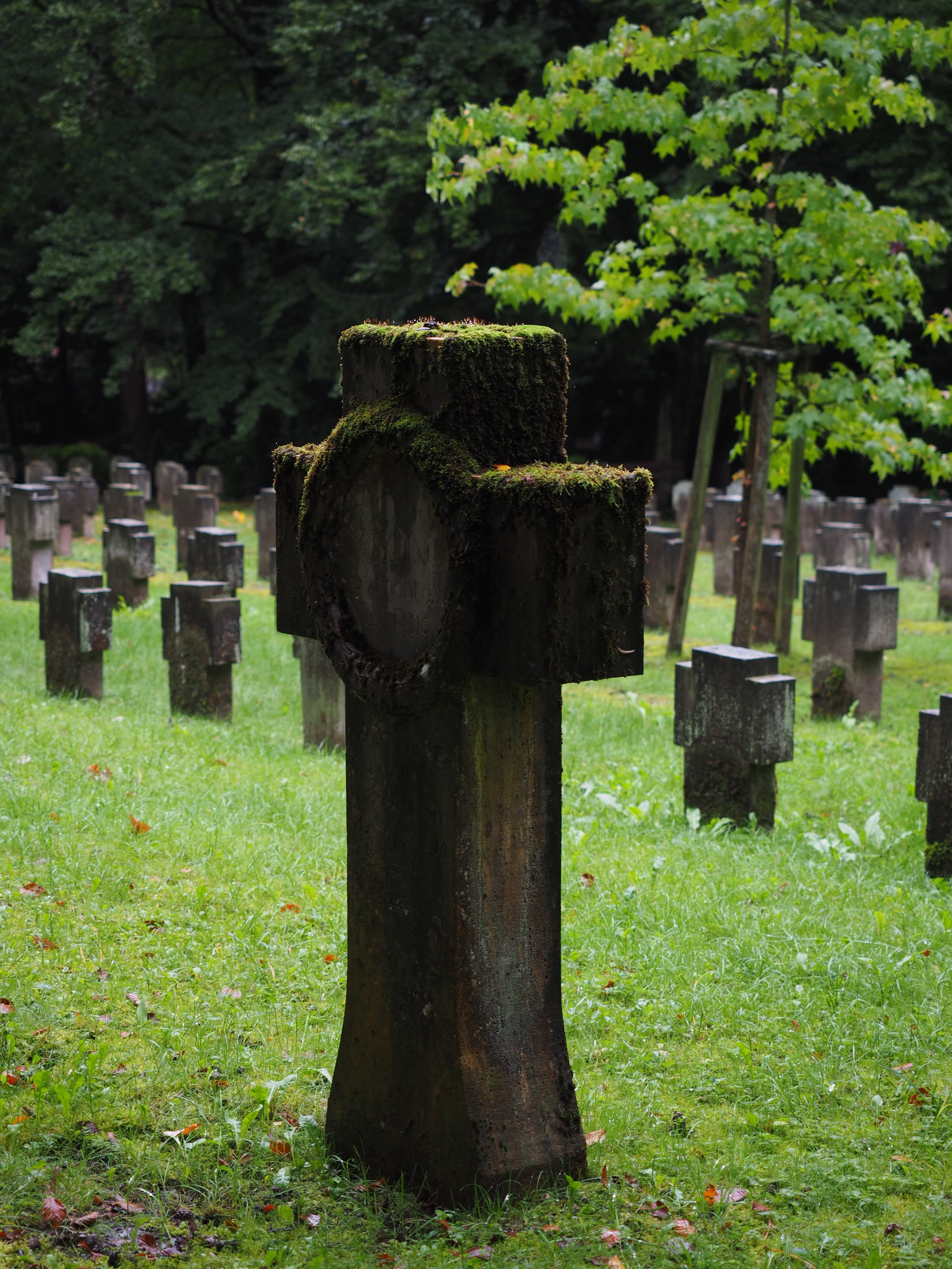 place of Burial, tomb, outdoors, death, spirituality, grave, growth, woodland cemetery, no people, last calm, dark, field, soldiers graves, forest cemetery stuttgart, Phone HD Wallpaper