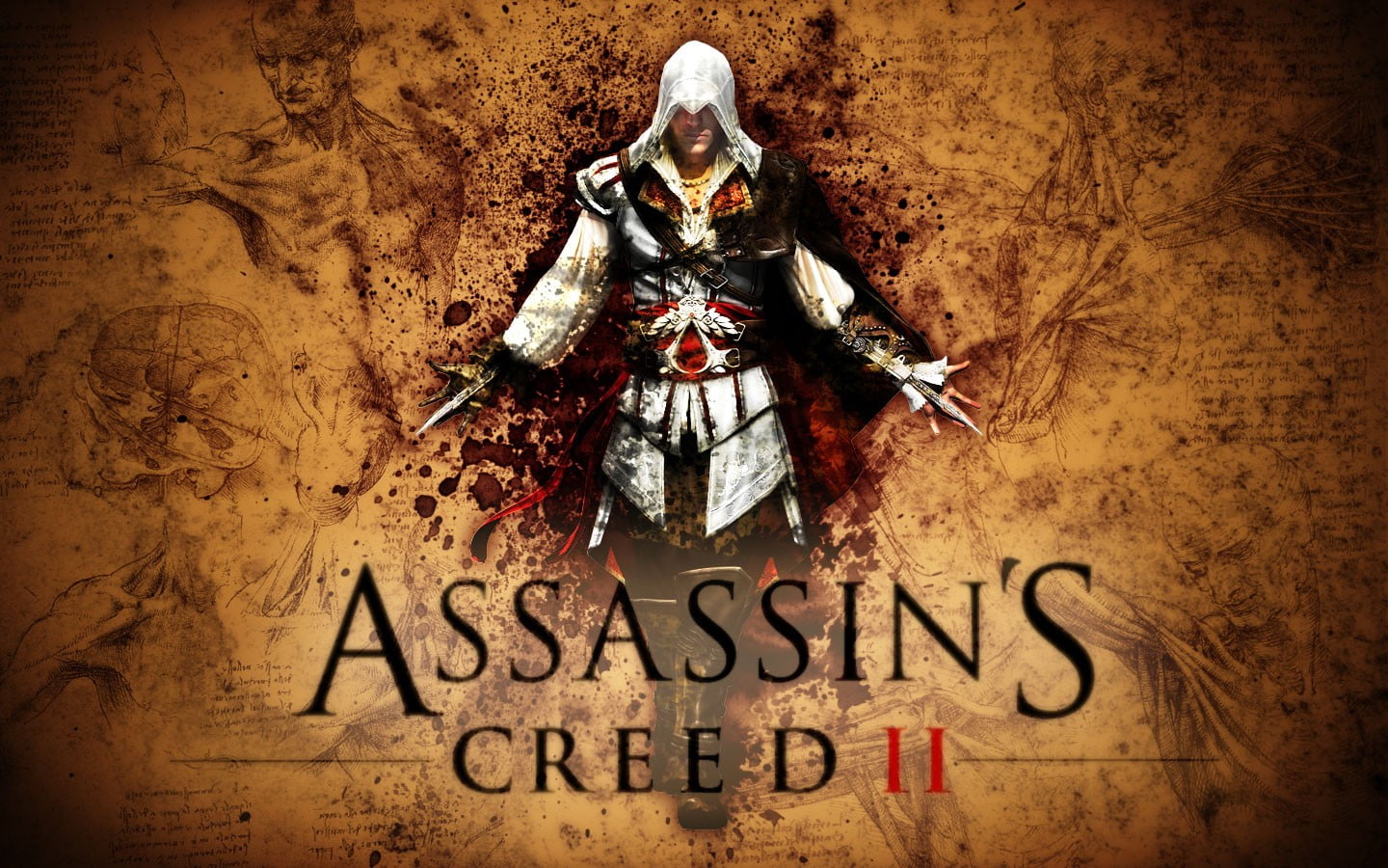 720P, indoors, human representation, western script, Ezio Auditore da Firenze, celebration, communication, belief, spirituality, Assassins Creed II, representation, HD Wallpaper