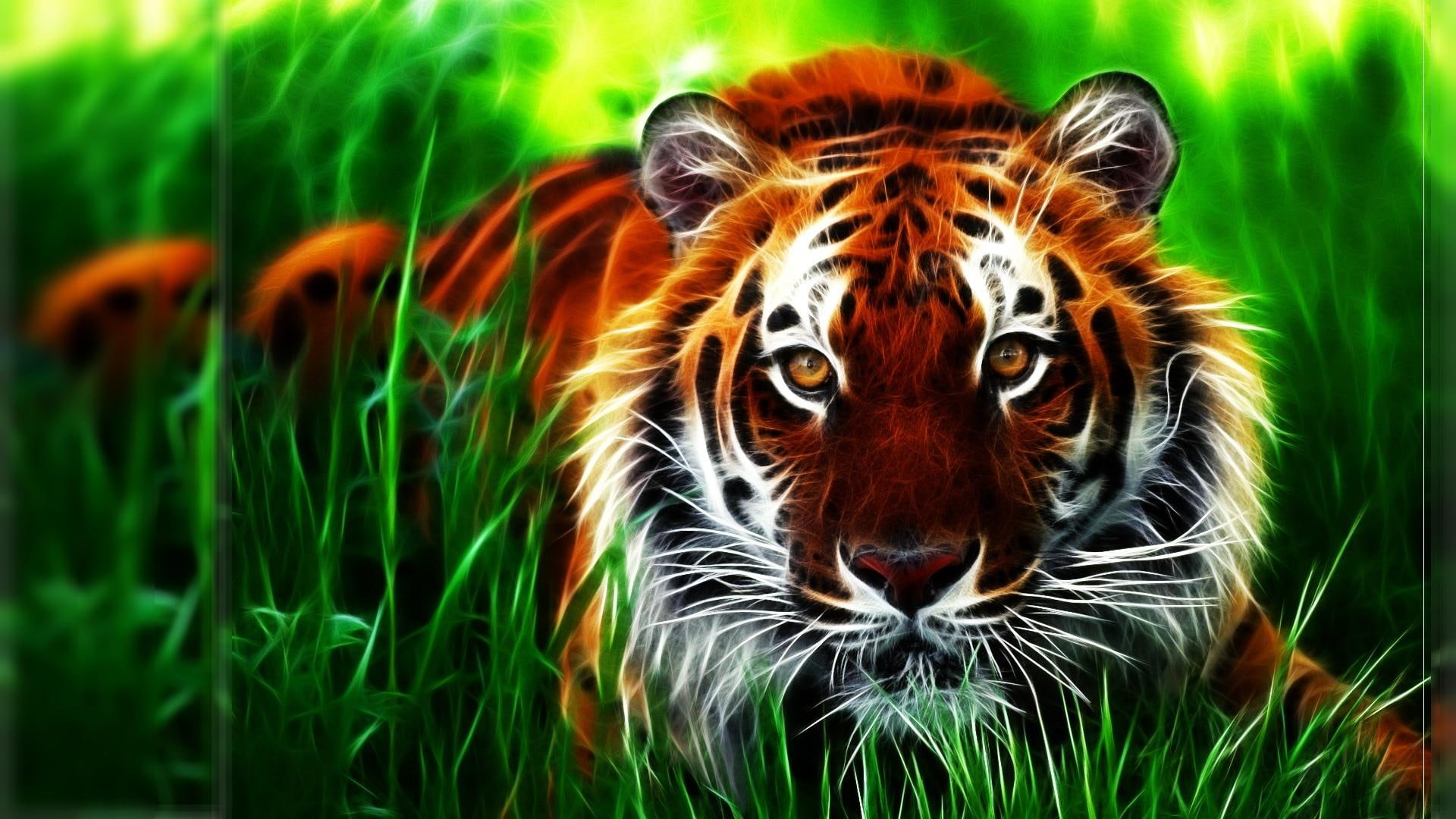 high, fractal, cats, eyes, 1080P, face, pictures, art, tiger, resolution, pattern, grass, stripes, HD Wallpaper