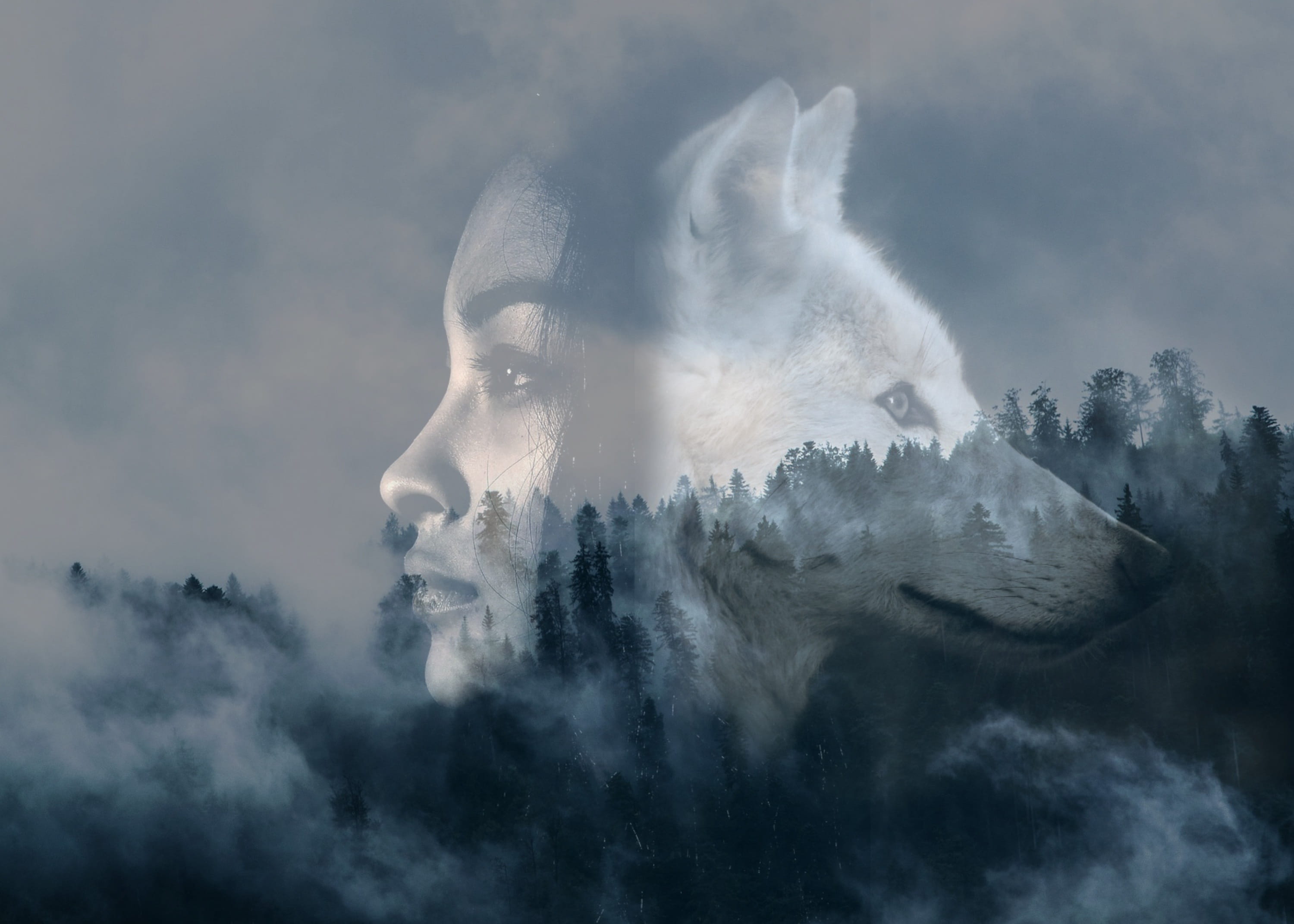 double exposure, woman, beauty in nature, girl, power in nature, forest, tranquility, tree, sky, day, environment, winter, cloud - sky, wolf, dreamlike, HD Wallpaper