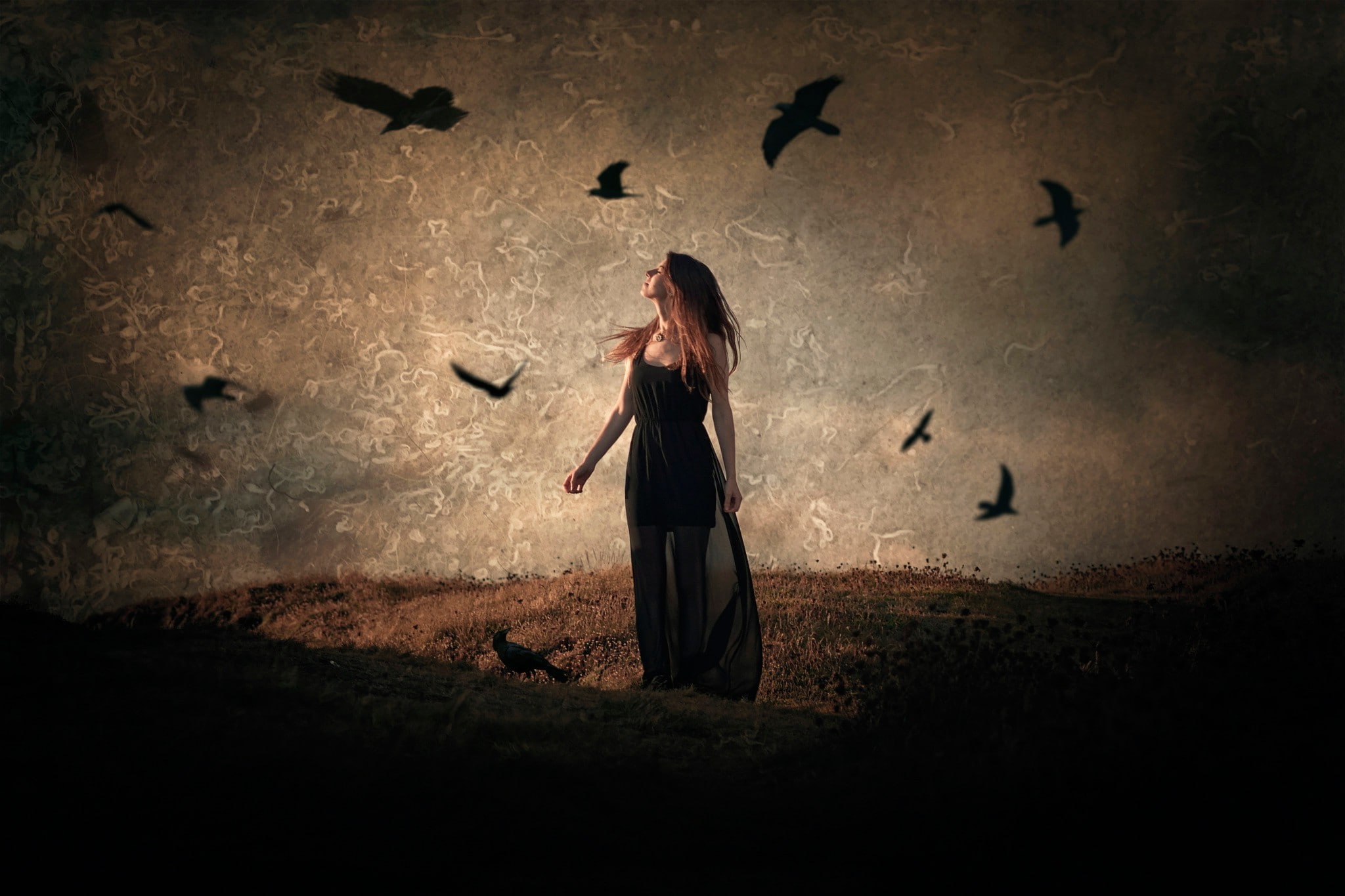 surreal, night, adult, mystery, evil, fantasy, spooky, dark, one person, witch, fear, halloween, 1080P, nature, sky, dress, women birds fantasy art, outdoors, HD Wallpaper