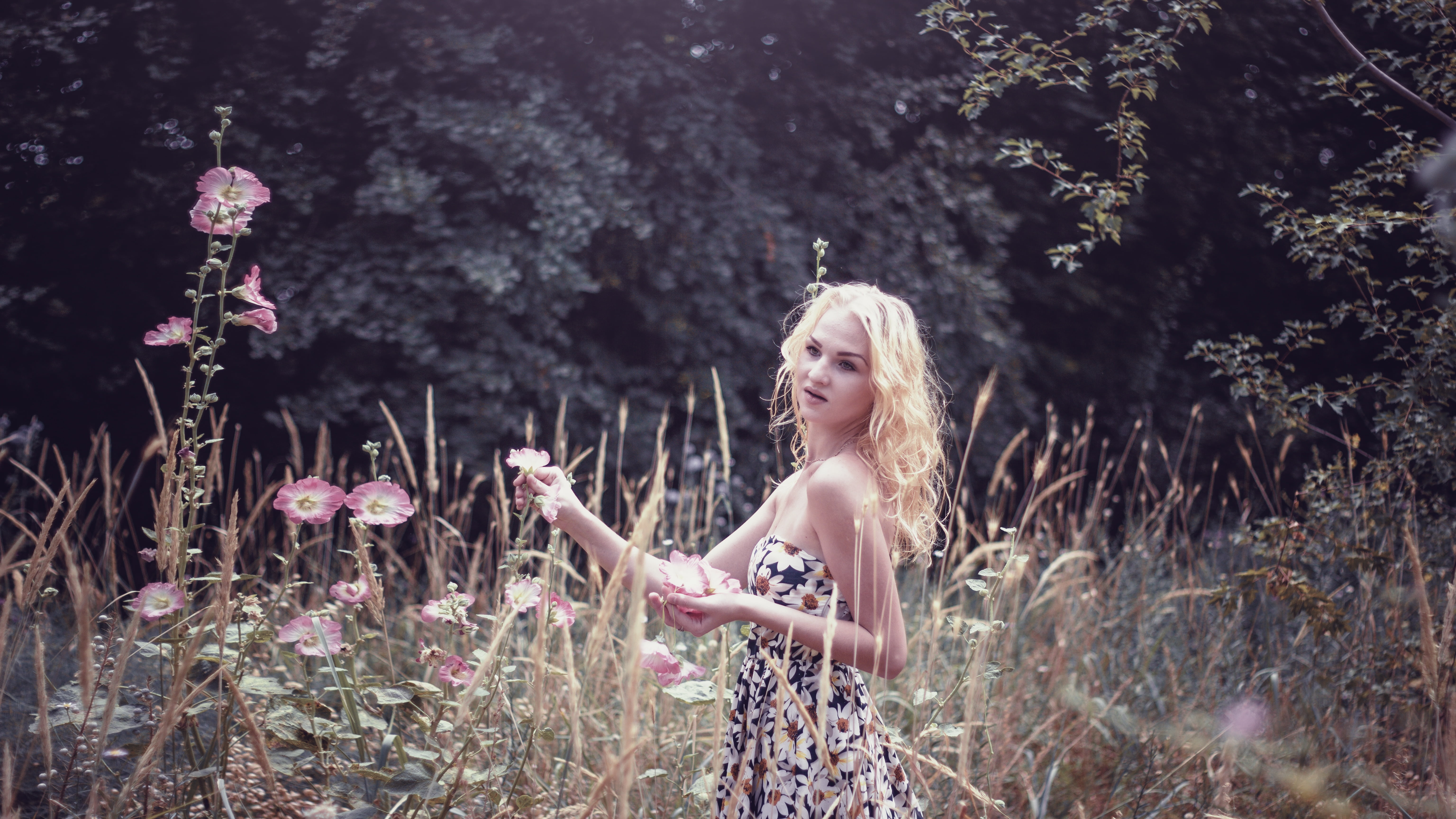 hands, people, summer, black, caucasian Ethnicity, love, fashion, dress, purple, meadow, happiness, woman, keep, tube, beautiful, girl collects flowers, HD Wallpaper