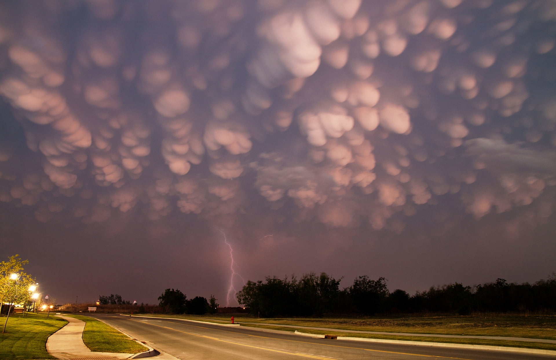night, beauty in nature, cloud - Sky, scenery, backgrounds, plant, lightning, extreme weather, bad weather, bright, thunder, landscape, storm, power in nature, HD Wallpaper