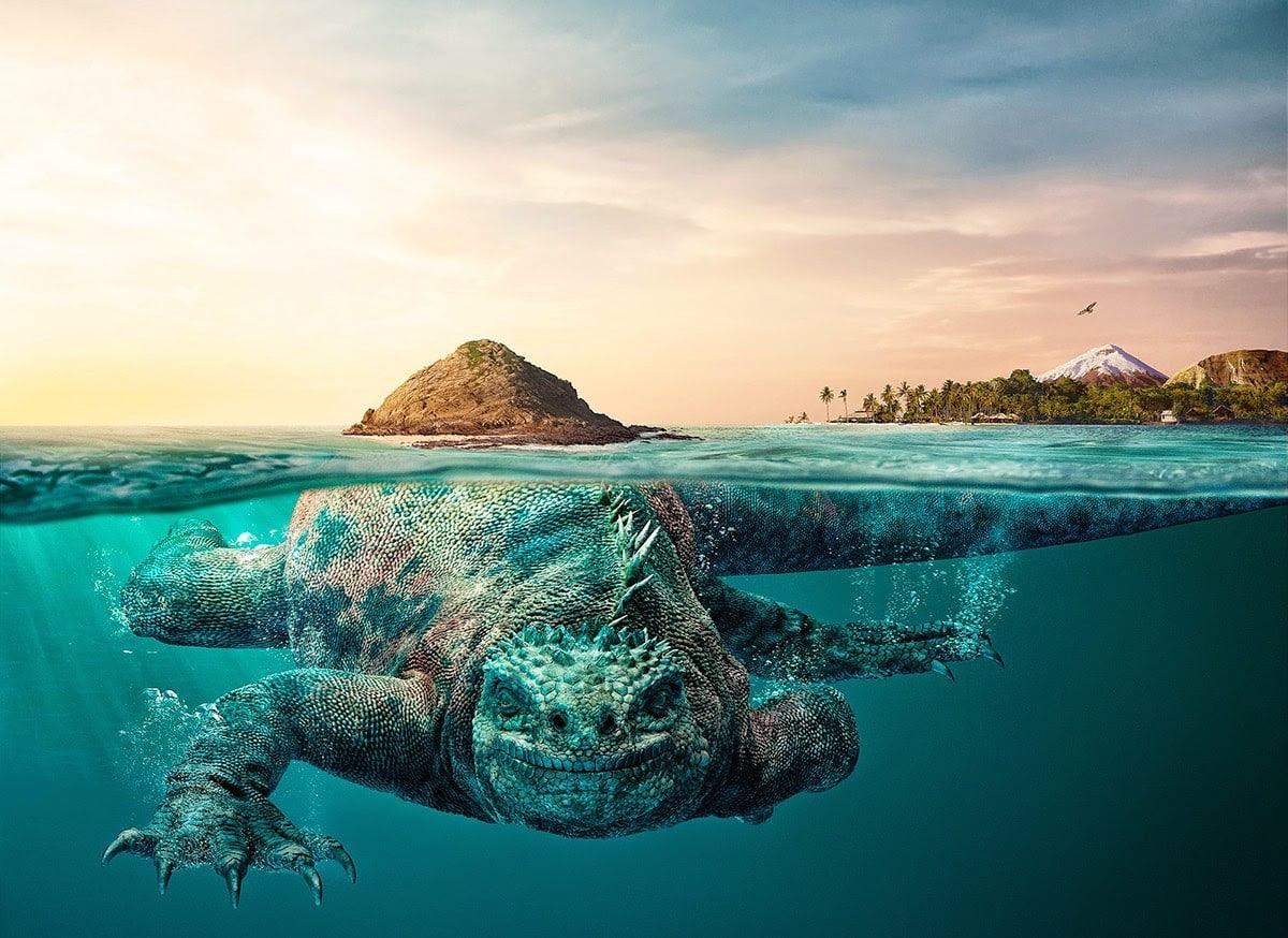 sea life, one animal, mountain, bay, underwater, Ecuador, forest, sky, landscape, Photo Manipulation, Tourism, marine, digital art, animals, island, no people, HD Wallpaper