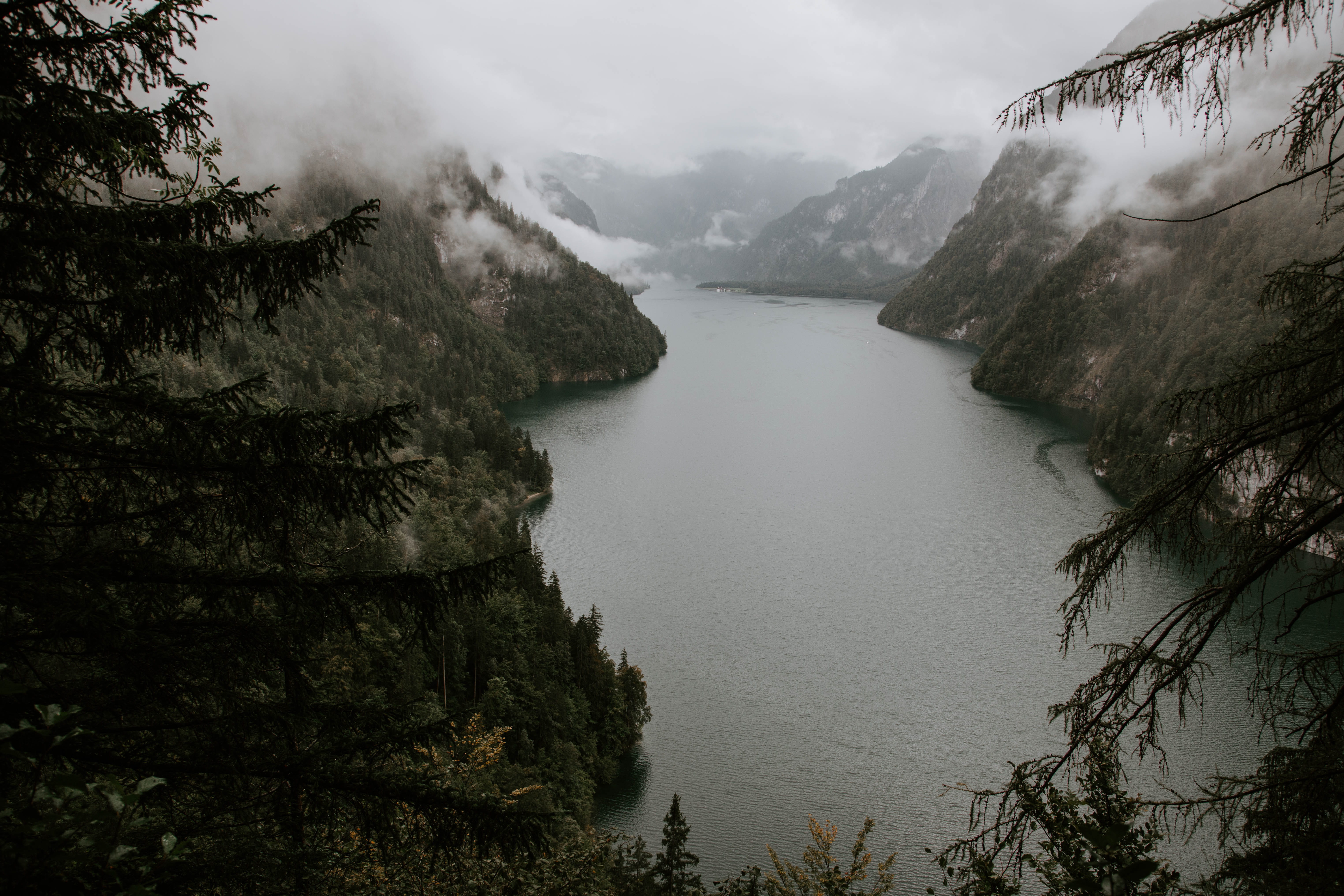 growth, early morning, weather, no people, trees, woods, tranquil scene, tranquility, scenics - nature, beauty in nature, day, mountains, mountain, flowing water, HD Wallpaper