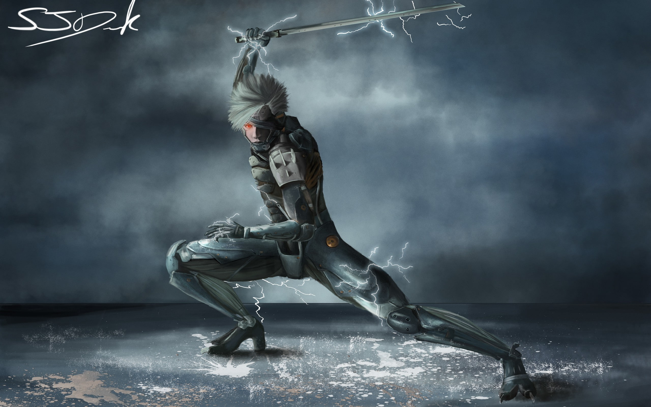 2K, raiden, gear, rising, video games, metal, hd, HD Wallpaper