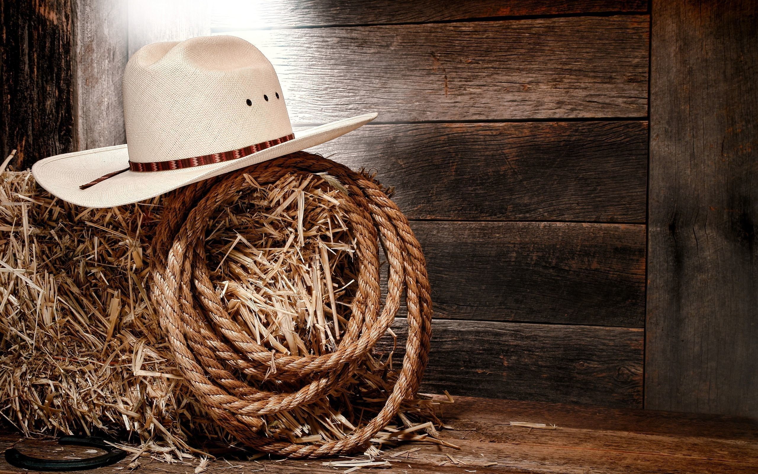 still life, indoors, rustic, latigo, copy space, brown, rope, wood - material, hat, container, sombrero, 2K, food and drink, arpaca, no people, hay, close-up, HD Wallpaper