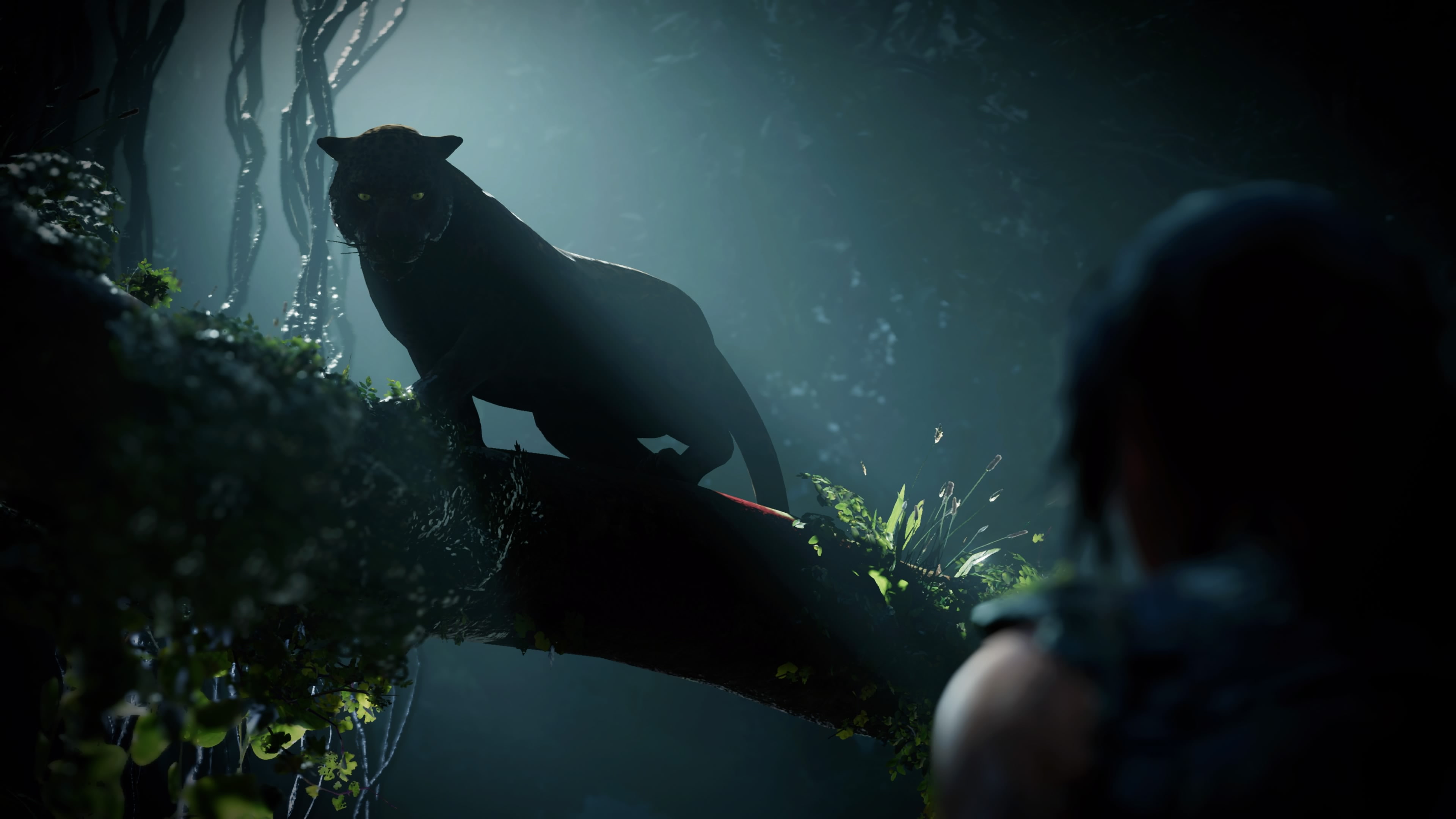 Lara Croft, screen shot, jungle, video games, Tomb Raider, 4K, HD Wallpaper