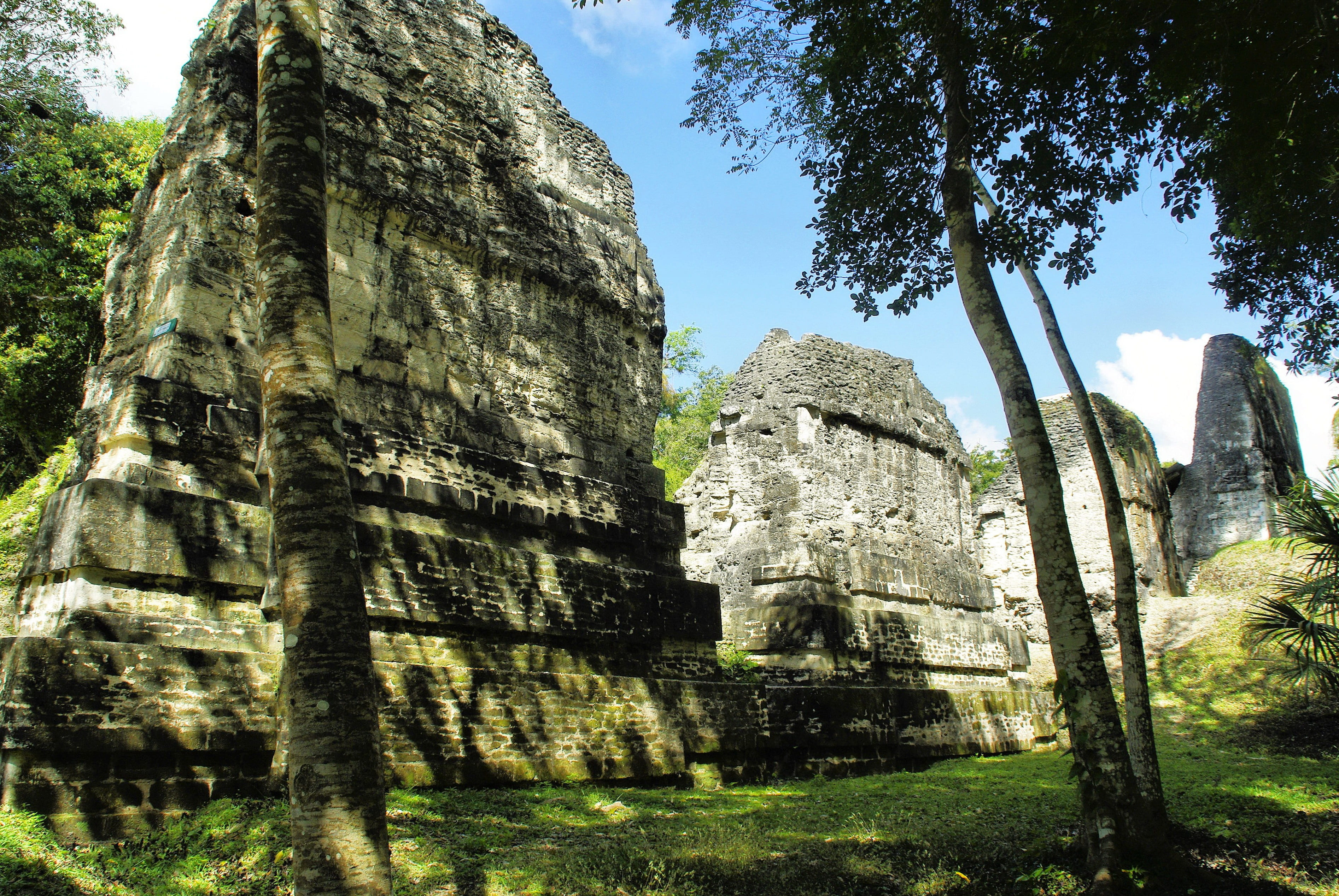 petén, ancient, spirituality, columbian, building exterior, travel, no people, low angle view, tree, archaeology, building, concrete, travel destinations, HD Wallpaper