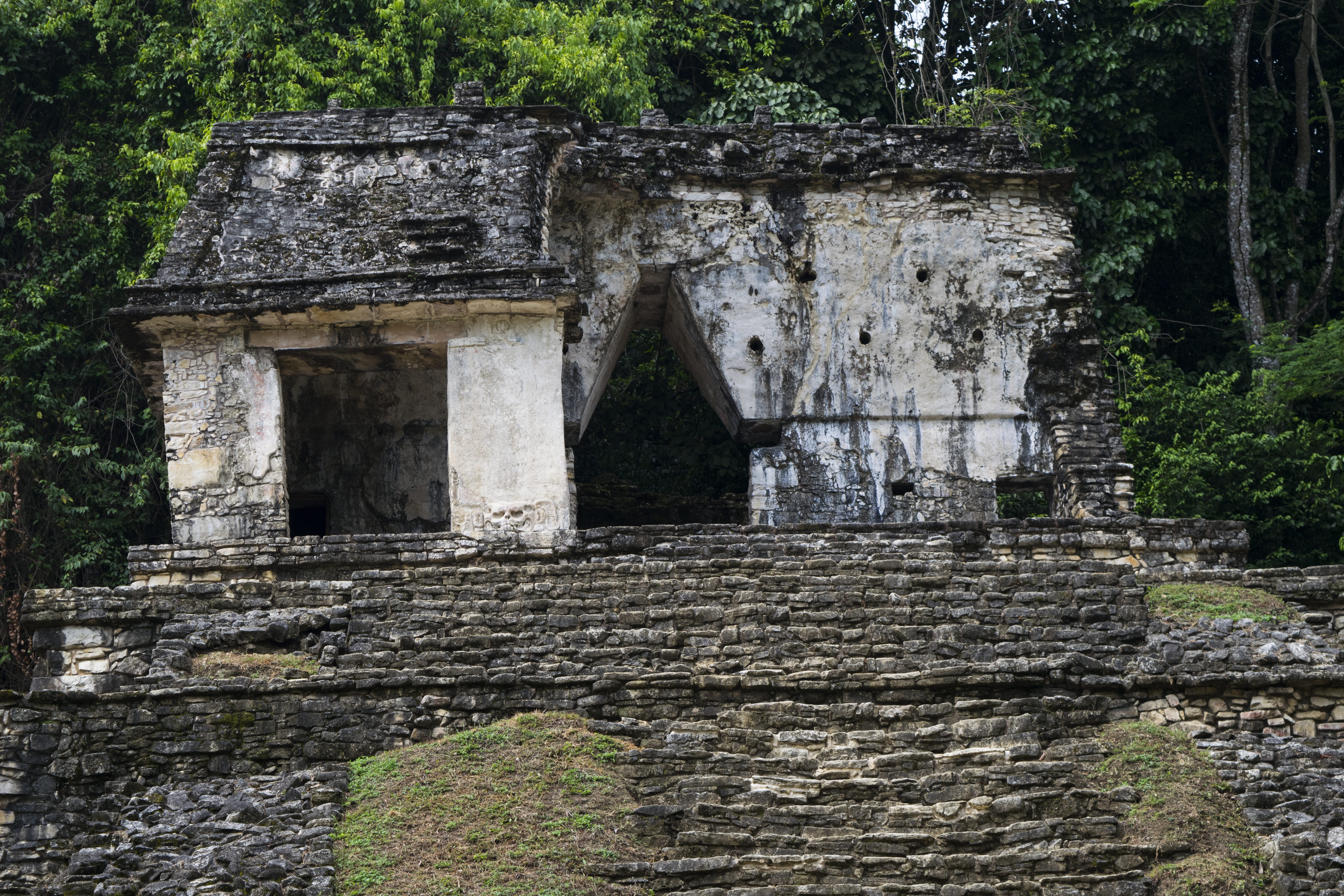 building exterior, tree, Ruins, Maya, Mexico, archaeological zone, damaged, plant, history, abandoned, the past, yaxilan, outdoors, ruined, nature, deterioration, HD Wallpaper