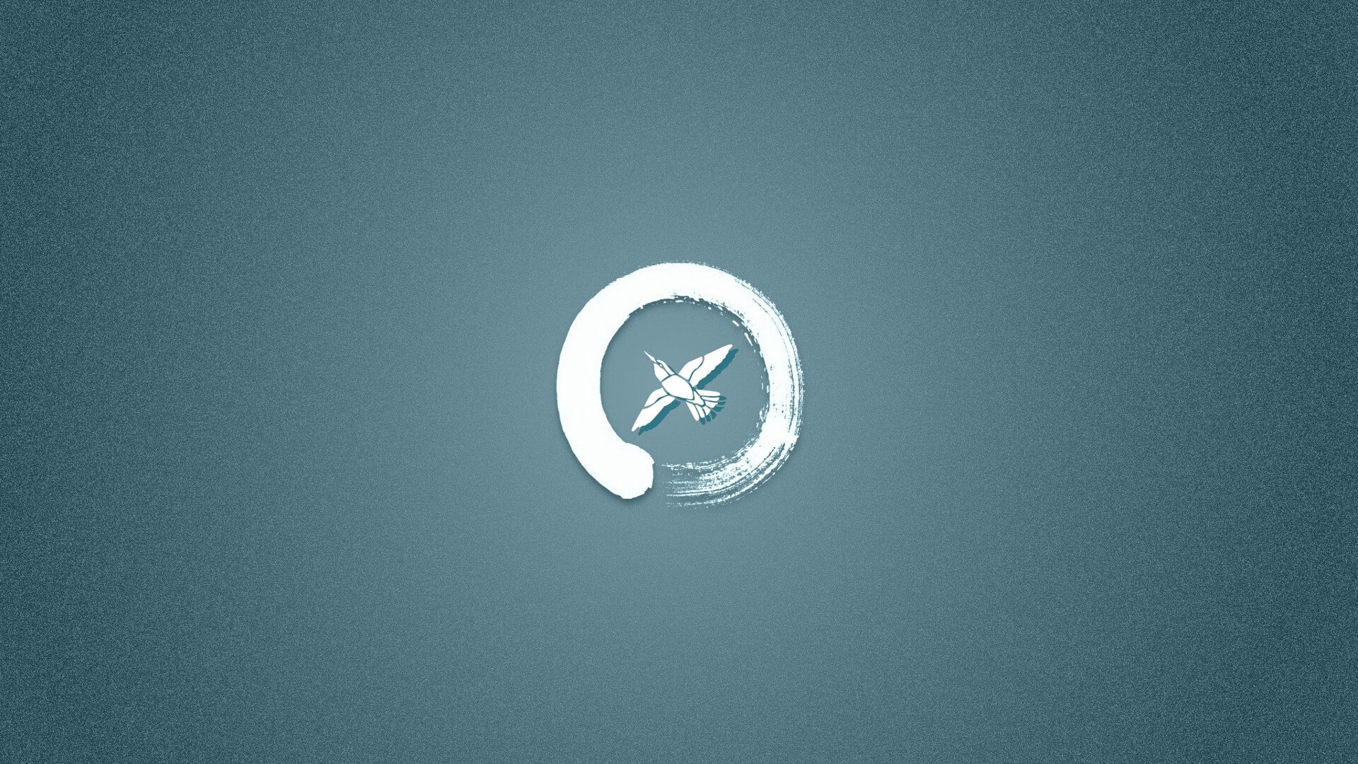 blue, colibri (bird), circle, birds, 1080P, HD Wallpaper