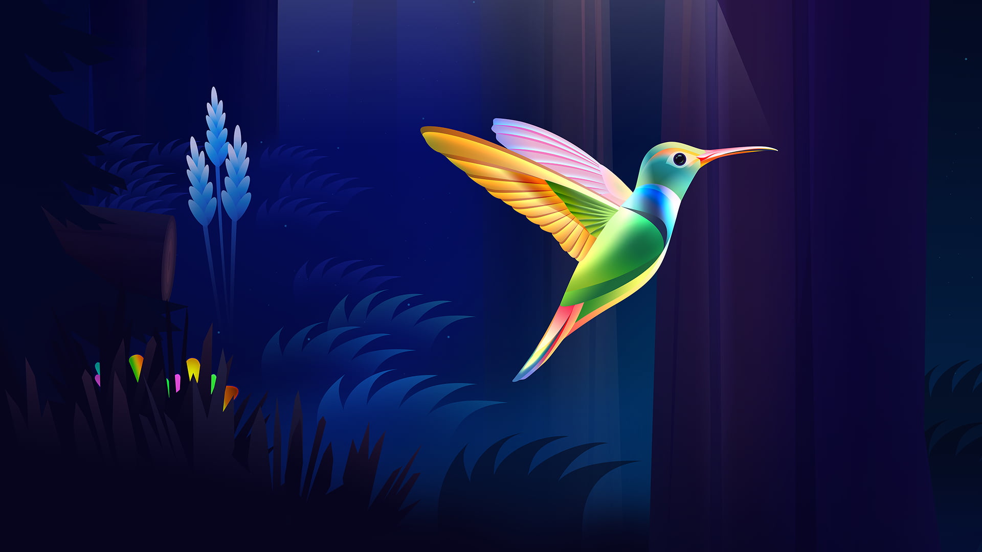 1080P, colorful, dark, wood, nature, colibri (bird), HD Wallpaper