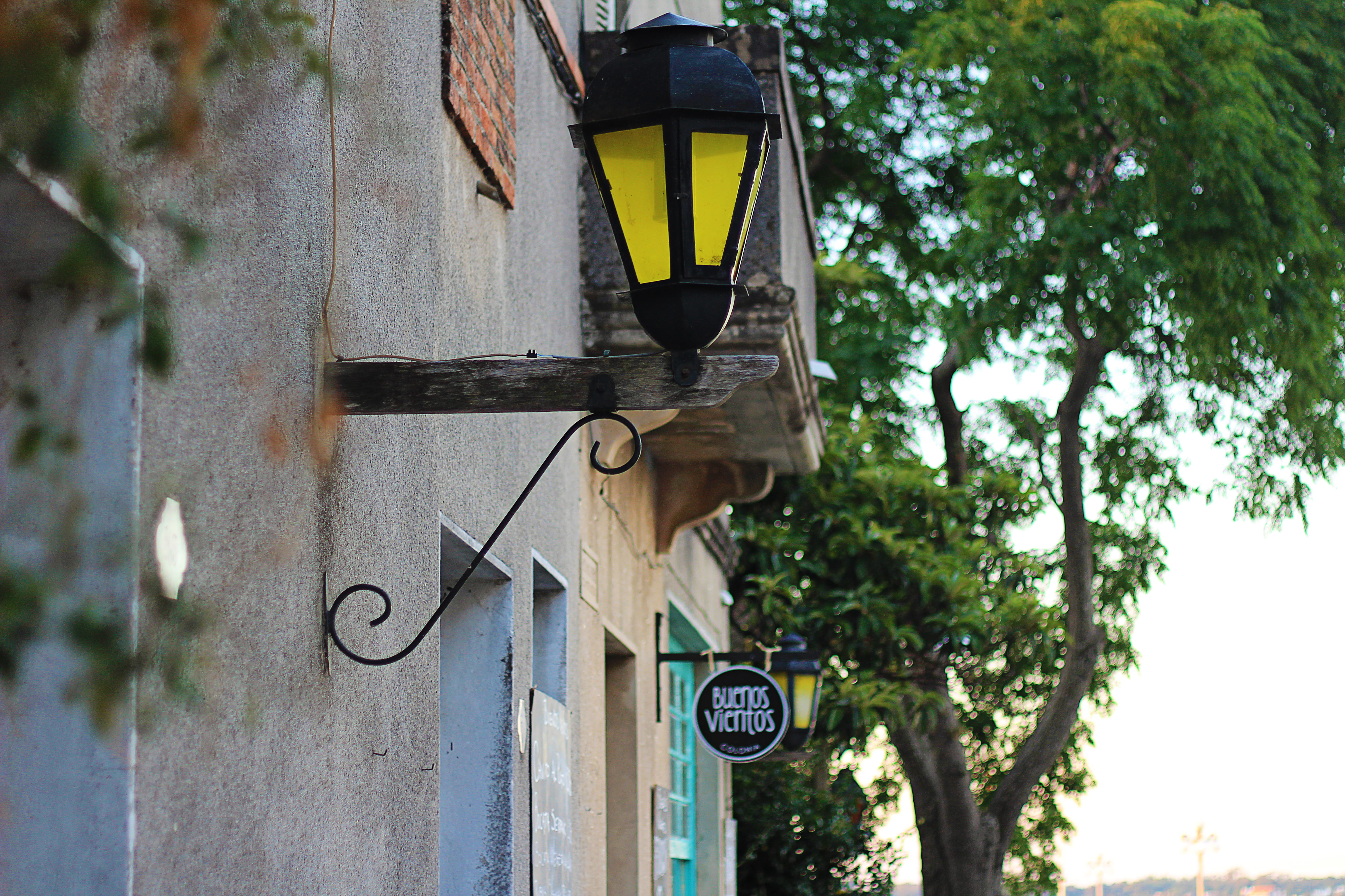 branch, metal, beauty, cement, wall - building feature, street light, uruguay, low angle view, green, electric lamp, outdoors, architecture, built structure, HD Wallpaper