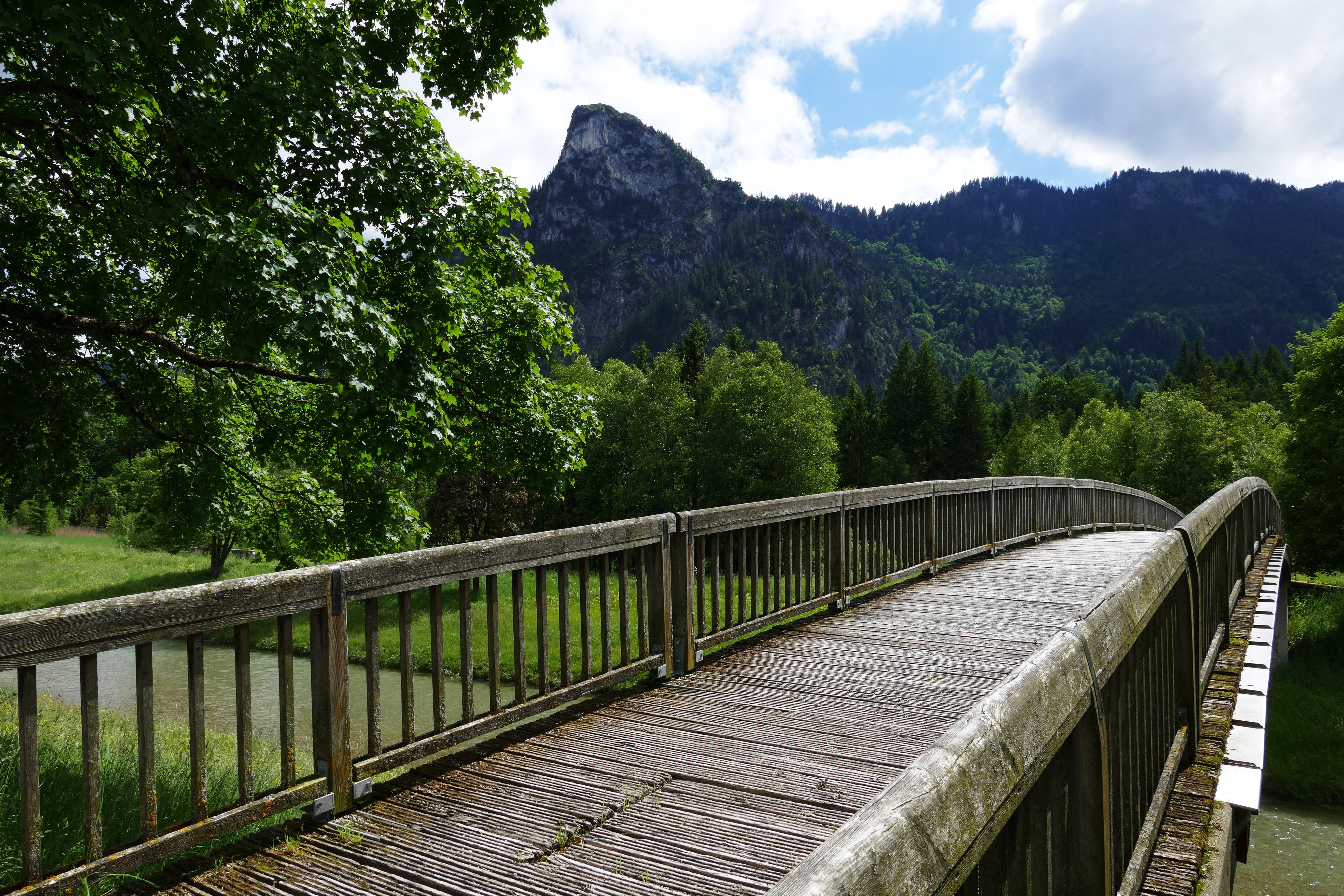 summer, scenic, trees, guidance, boardwalk, sky, lake, adventure, park, mountain, 5K, mountains, woods, idyllic, travel, forest, pathway, outdoors, river, HD Wallpaper