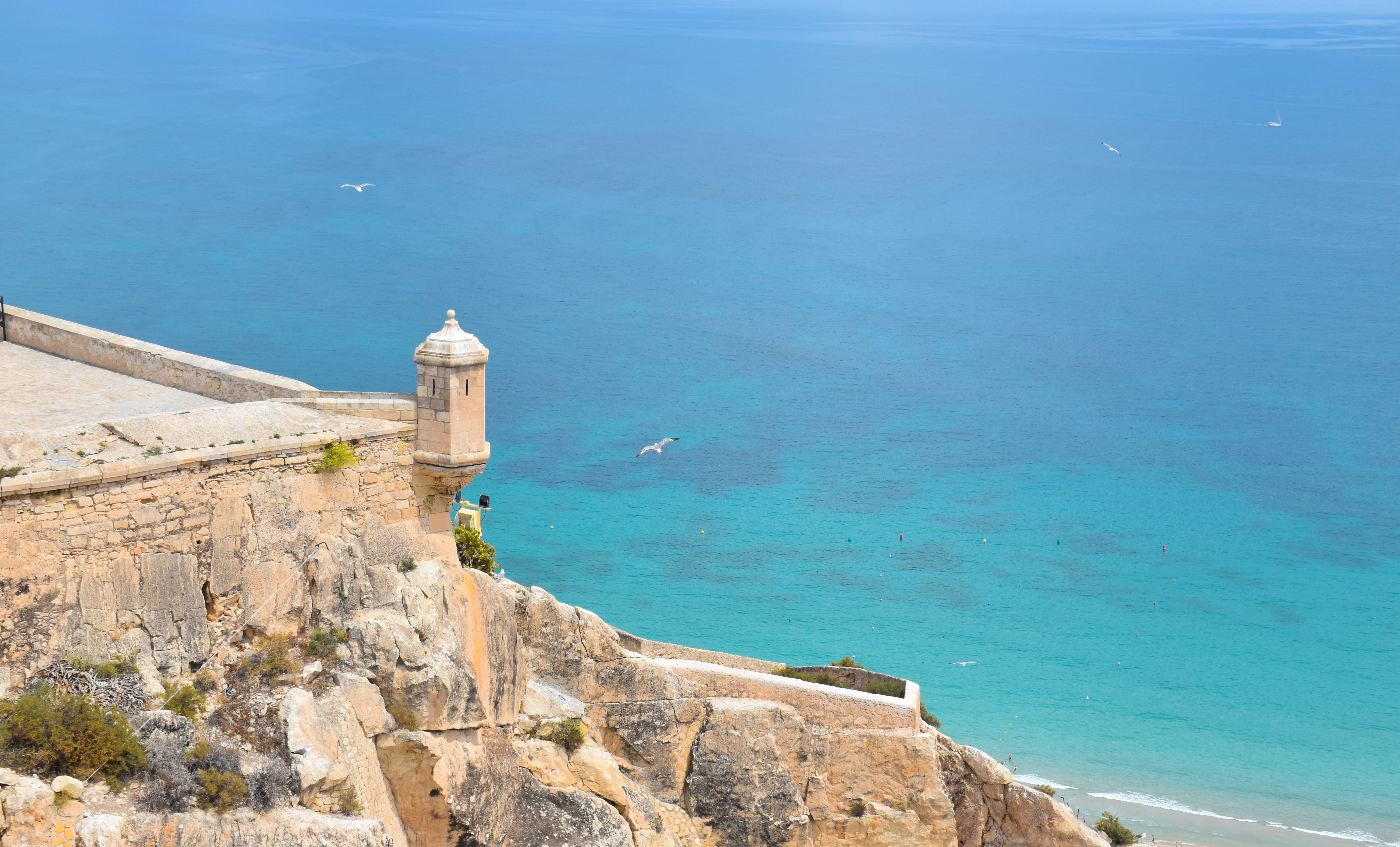 scenics - nature, animal, Spain, 5K, architecture, day, ocean, bird, travel, beacon, promontory, tower, lighthouse, cliff, sky, guidance, outdoors, turquoise colored, HD Wallpaper