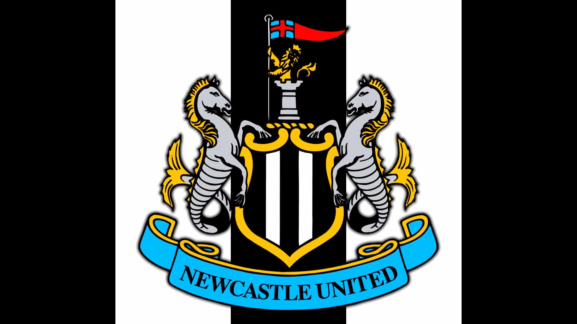 1080P, soccer, united, newcastle, sports, HD Wallpaper