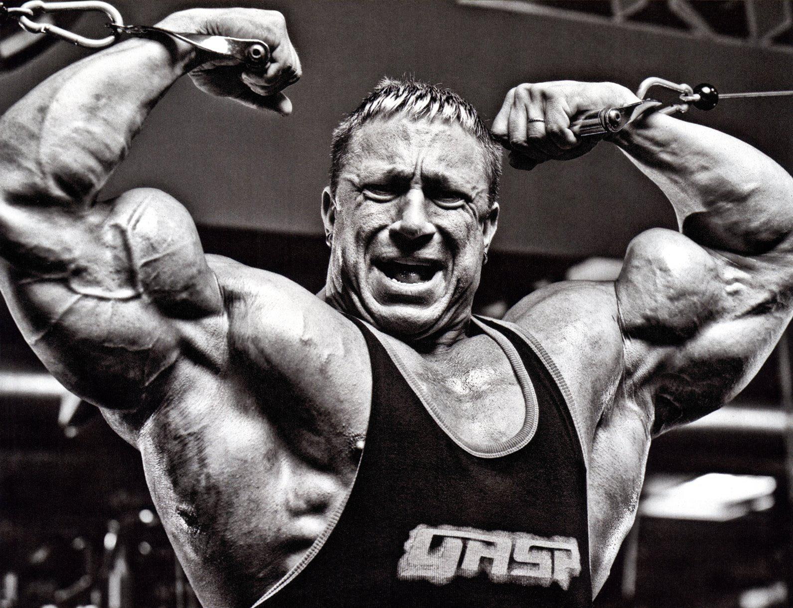 germany, markus, 720P, bodybuilder, hl, markus rühl, r, HD Wallpaper