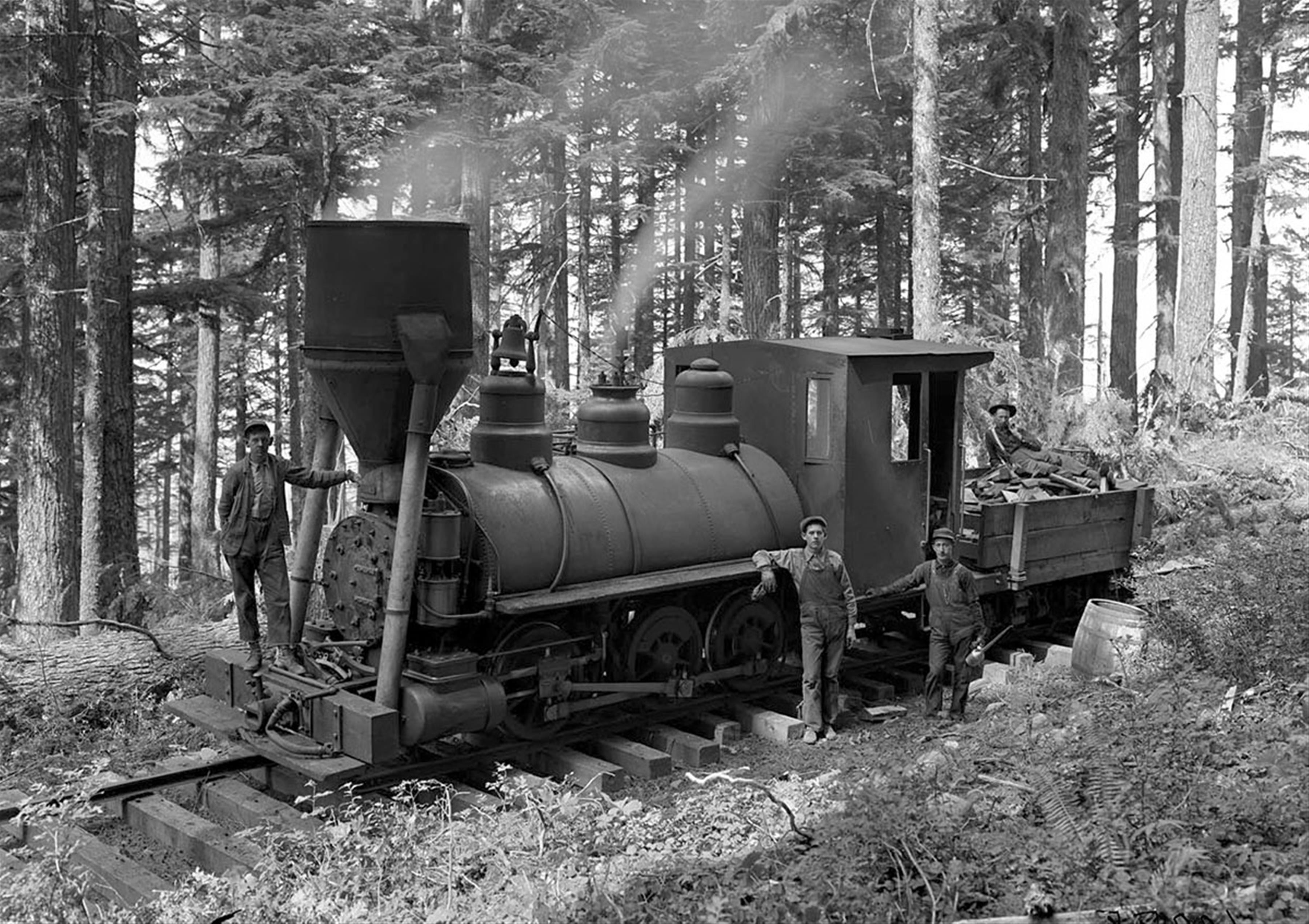woodland, plant, abandoned, vintage, older, old, obsolete, day, ancestor, transportation, train, land, people, nostalgia, 2K, historic, standing, old-fashioned, HD Wallpaper