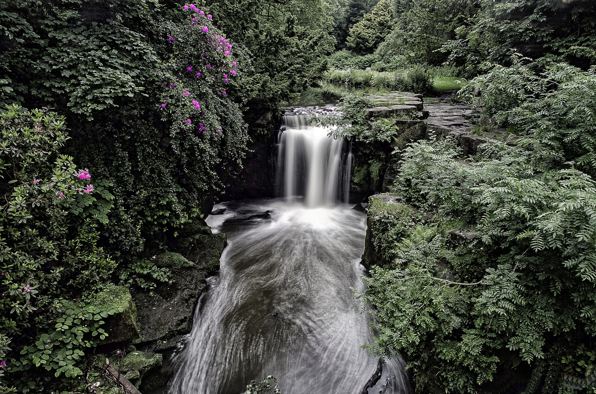 the bushes, England, forest, Jesmond Dene Waterfall, waterfall, 1080P, Newcastle, HD Wallpaper
