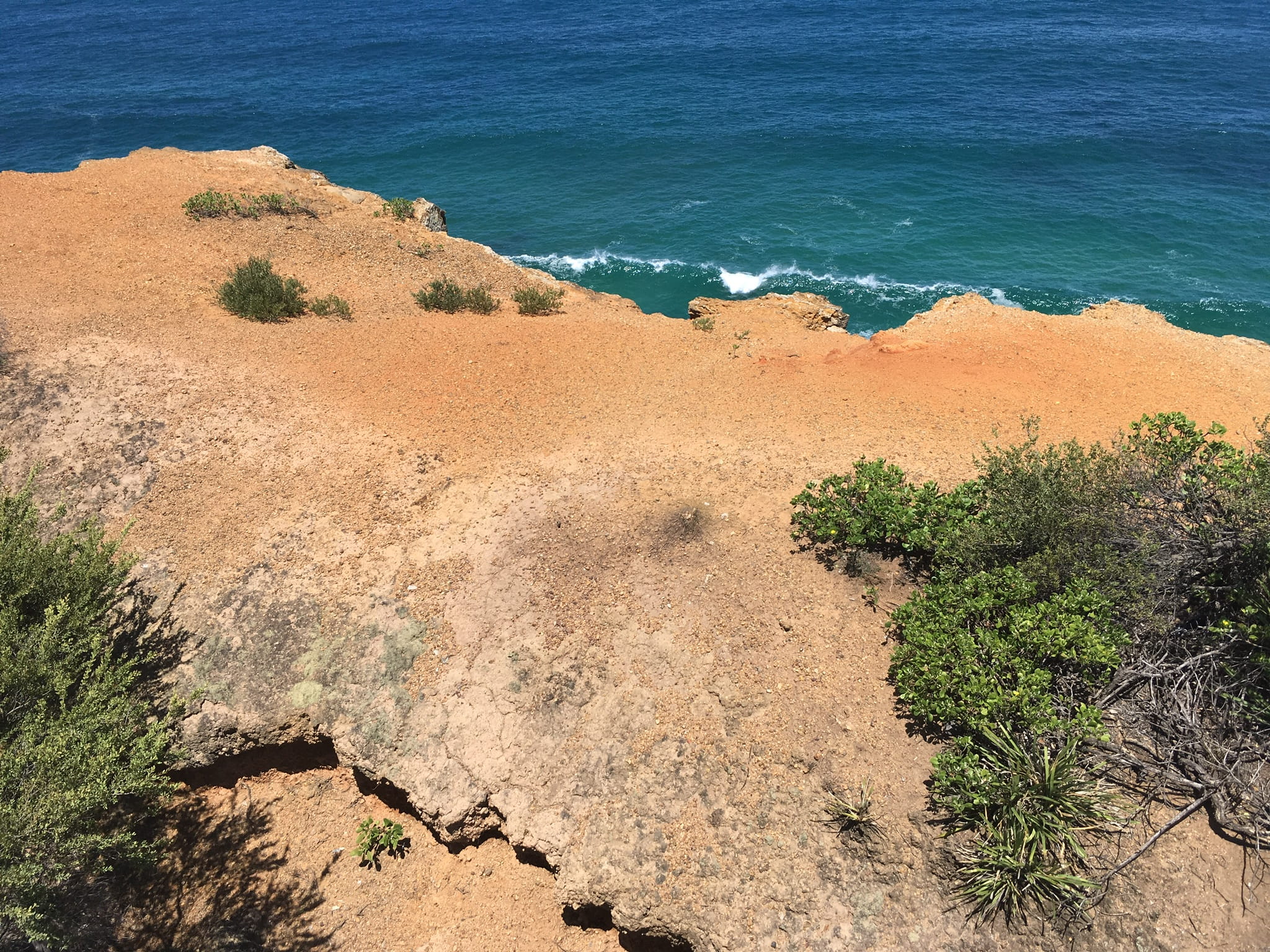 rock formation, land, rock, sea, rock - object, beach, plant, water, 1080P, australia, scenics - nature, day, no people, beauty in nature, nature, high angle view, HD Wallpaper
