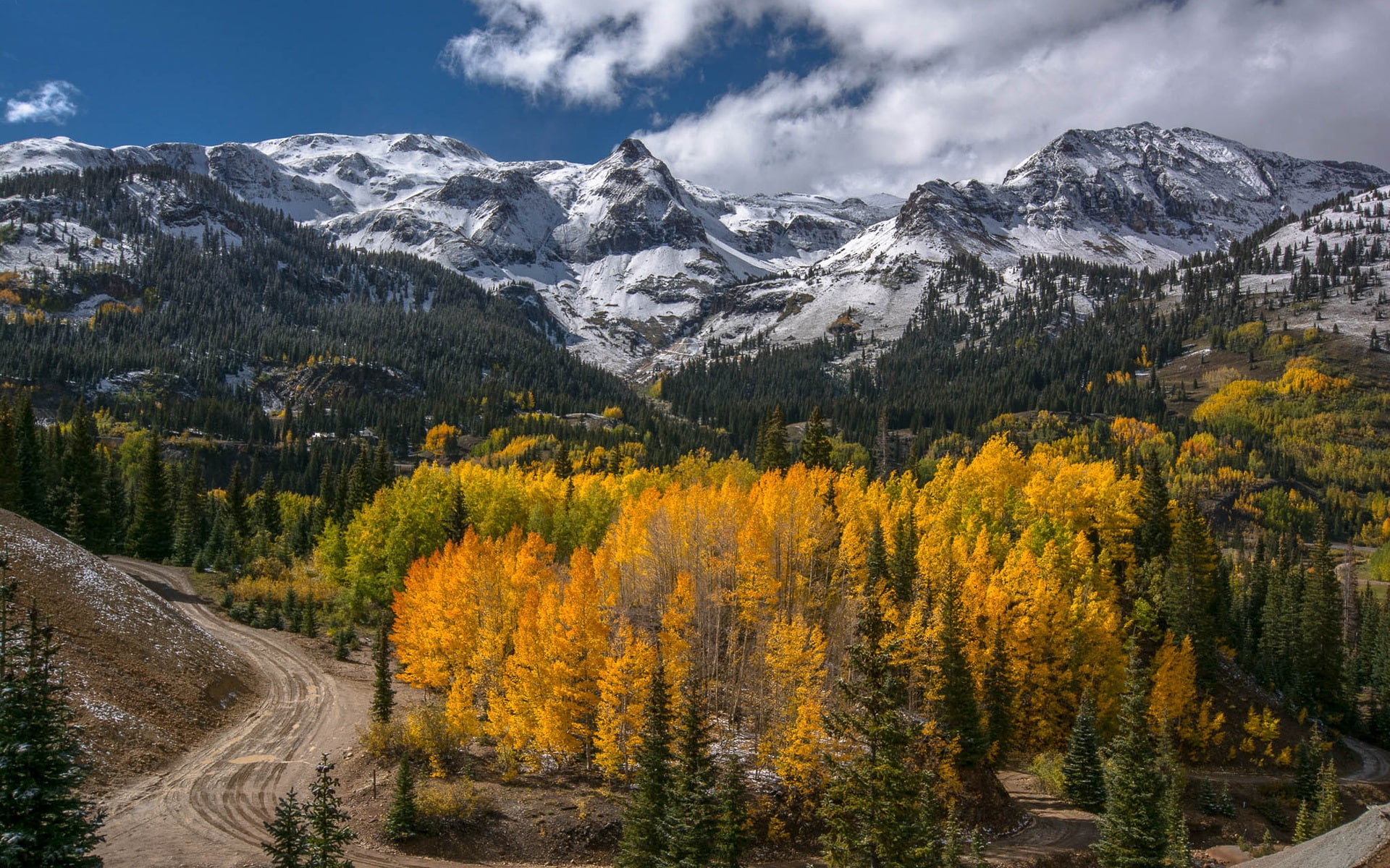 Scenery, Autumn, Forest, rage, 1080P, pine, Trees, mountain, Mountains, Road, HD Wallpaper