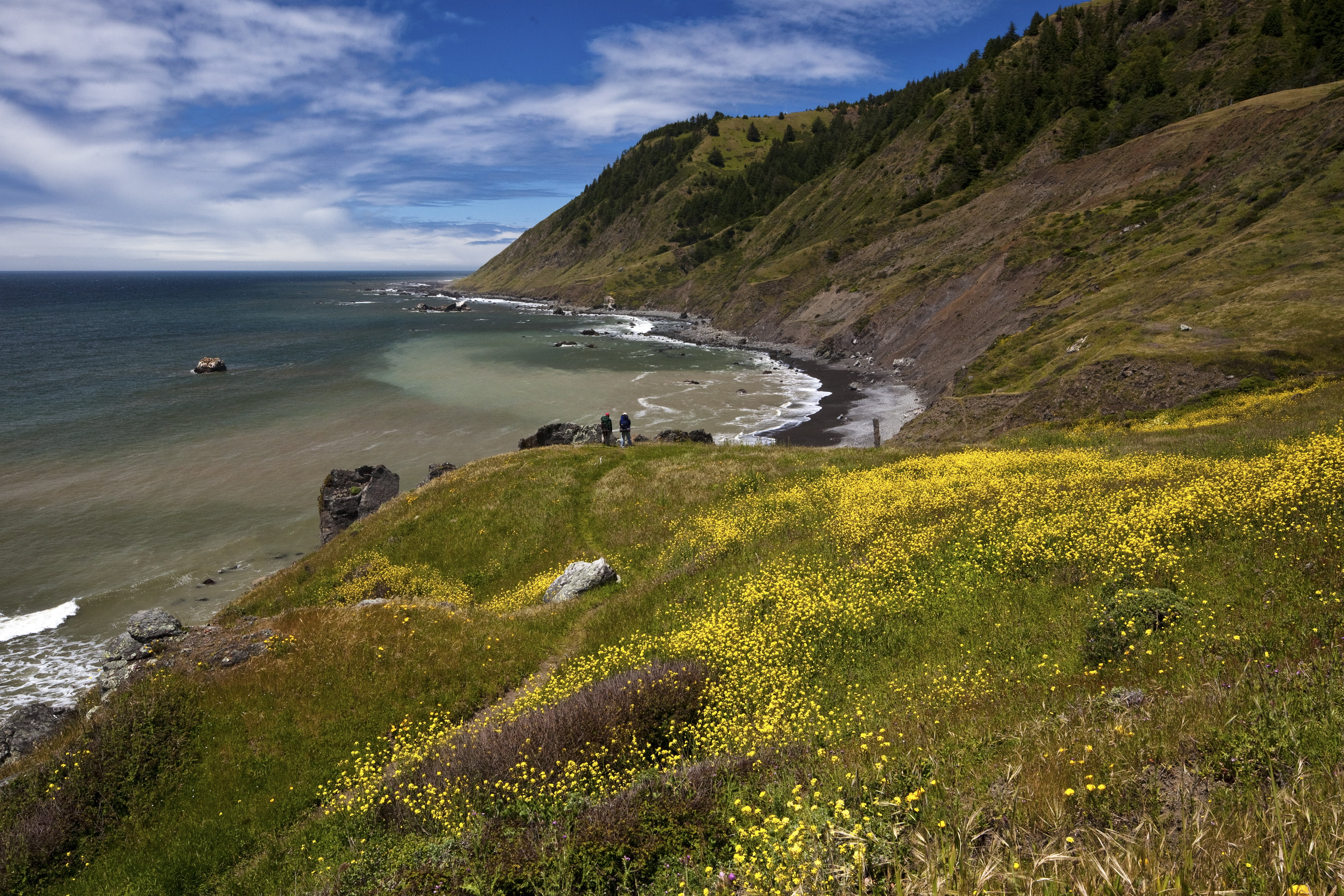 coastline, sea, King Range, rage, bucket  list, beach, Bureau of Land Management, coast, wildlife, King Range National Conservation Area, sunset, sunrise, HD Wallpaper