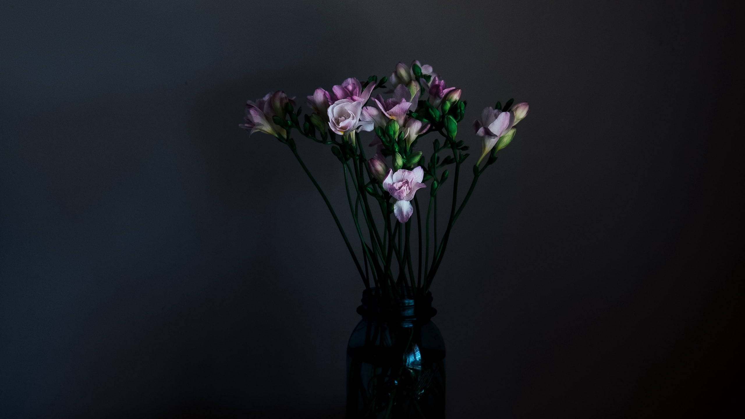 vase, 2K, bouquet, dark, flowers, HD Wallpaper