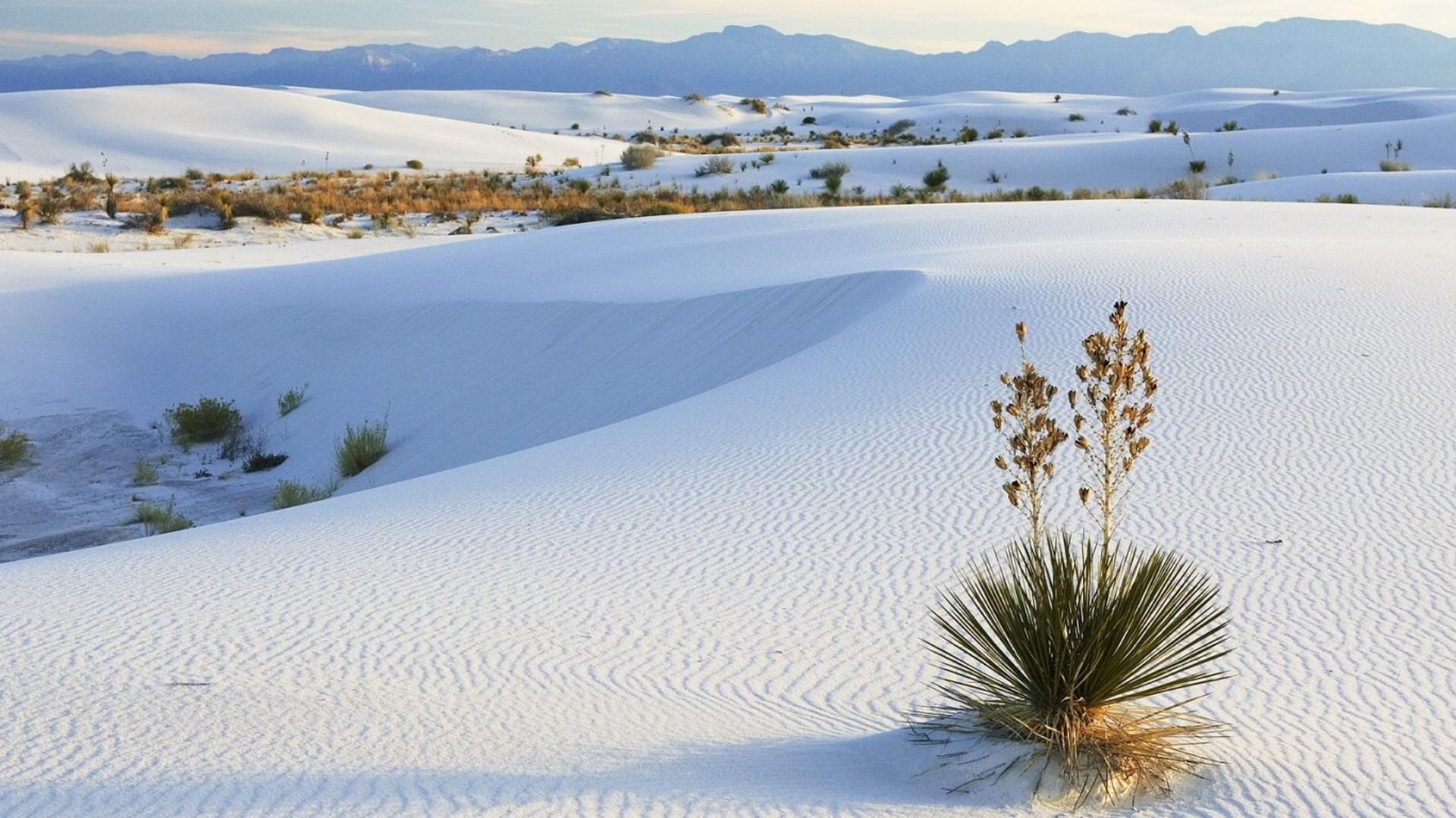 Sand, hd, desert, 1080P, monument, national, white, art, Landscapes, dunes, new, monuments, mexico, architecture, HD Wallpaper
