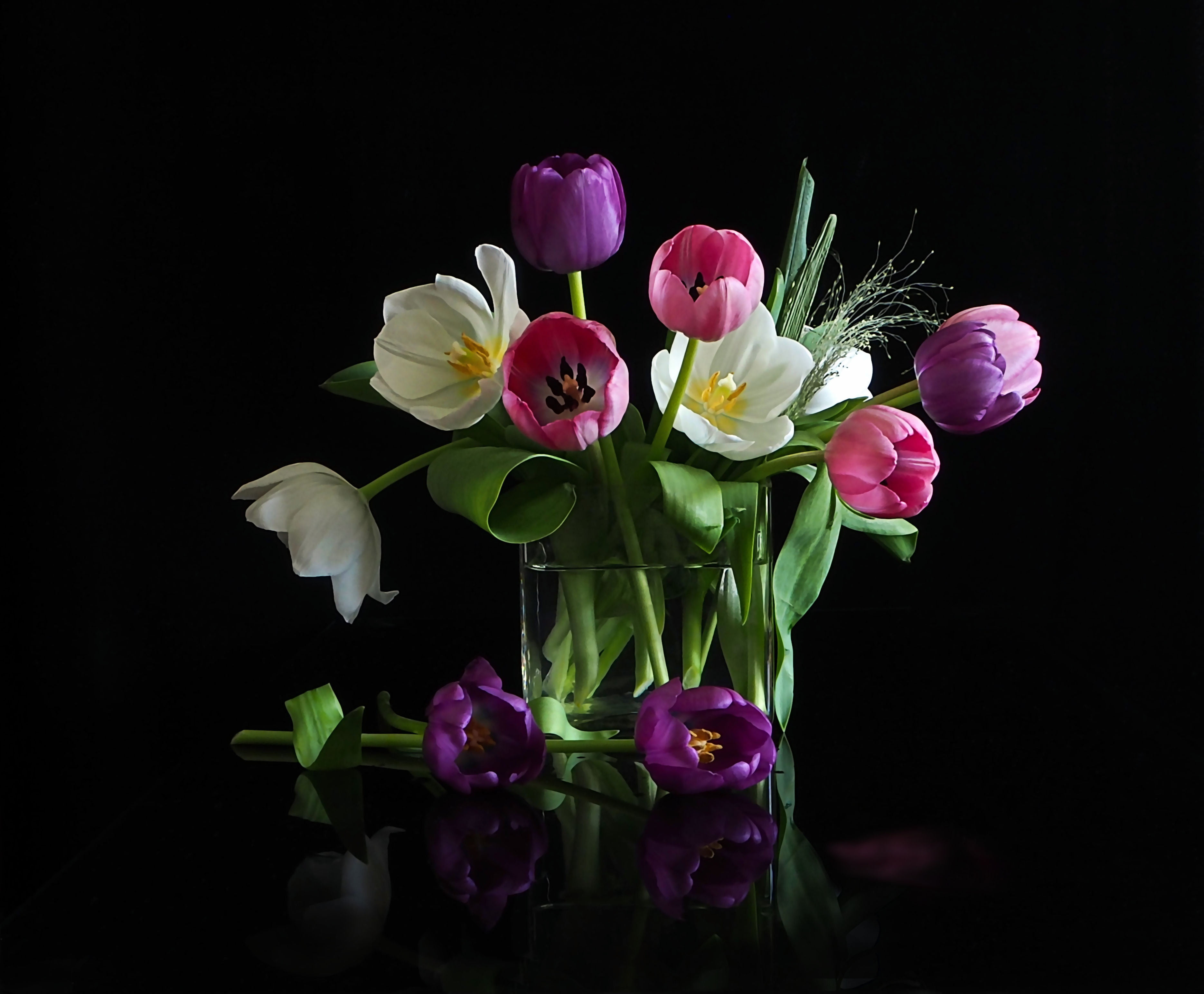 bouquet, flowers, tulips, black background, vase, 2K, HD Wallpaper