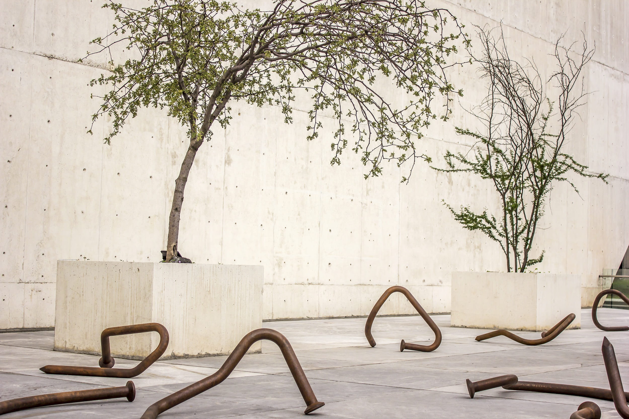 creation, ornamental, day, branch, sculpture, modern, absence, vanguard, geometry, table, colorful, Architecture, beauty, plant, tree, work, wall - building feature, HD Wallpaper