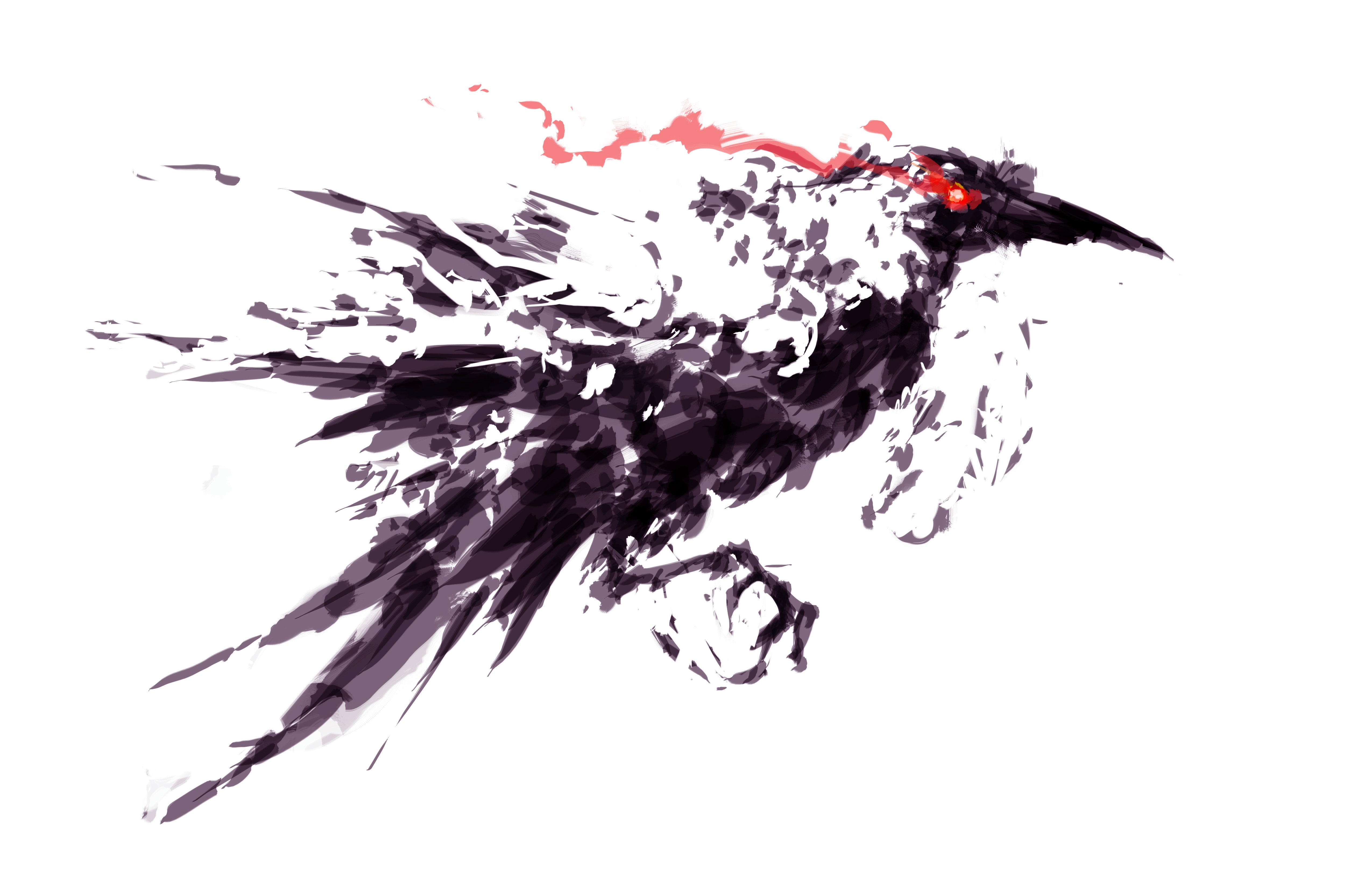 still life, copy space, close-up, digital art, water, cut out, white background, creativity, ink, no people, splashing, birds, nature, glowing eyes, black color, HD Wallpaper