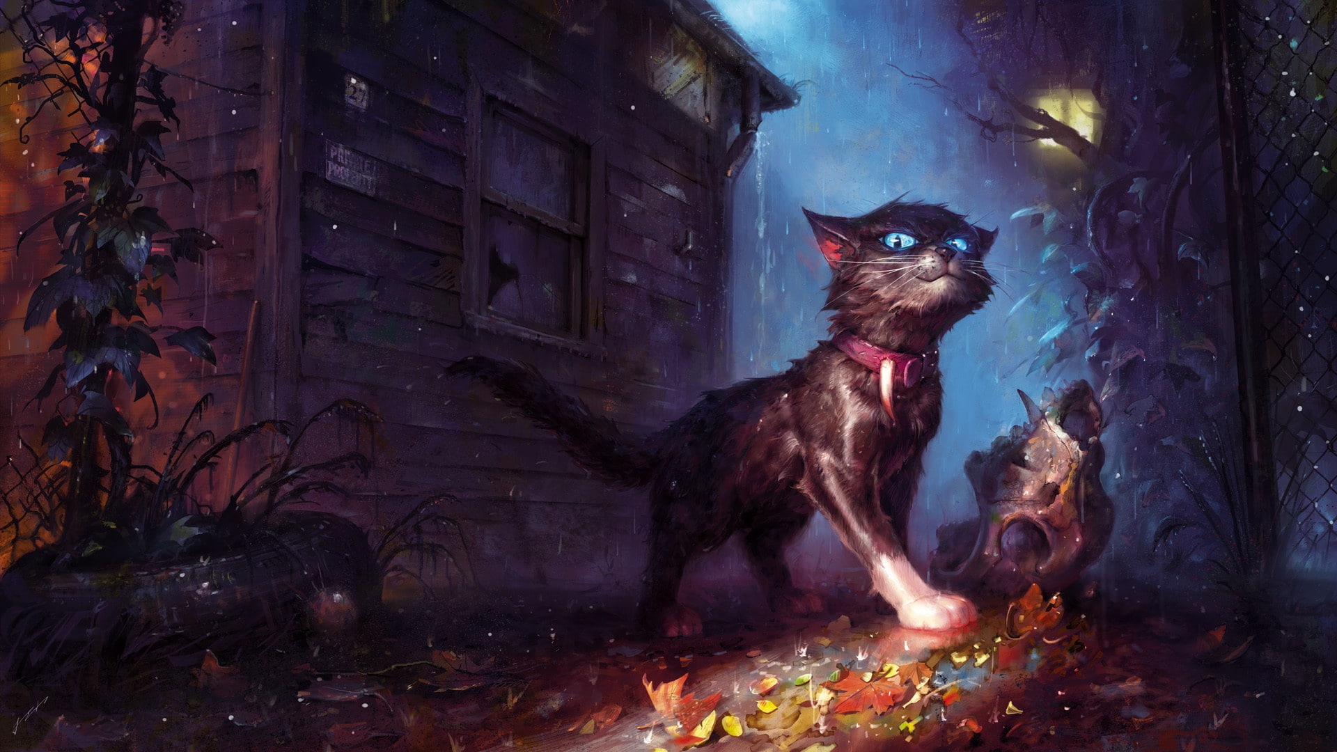 cat, art, house, rain, collar, bad weather, fantasy, 1080P, skull, foliage, lantern, HD Wallpaper