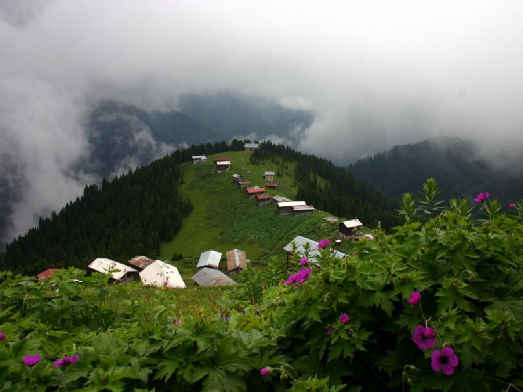 Turkey, hd, art, 480P, mountains, nature, rize, HD Wallpaper