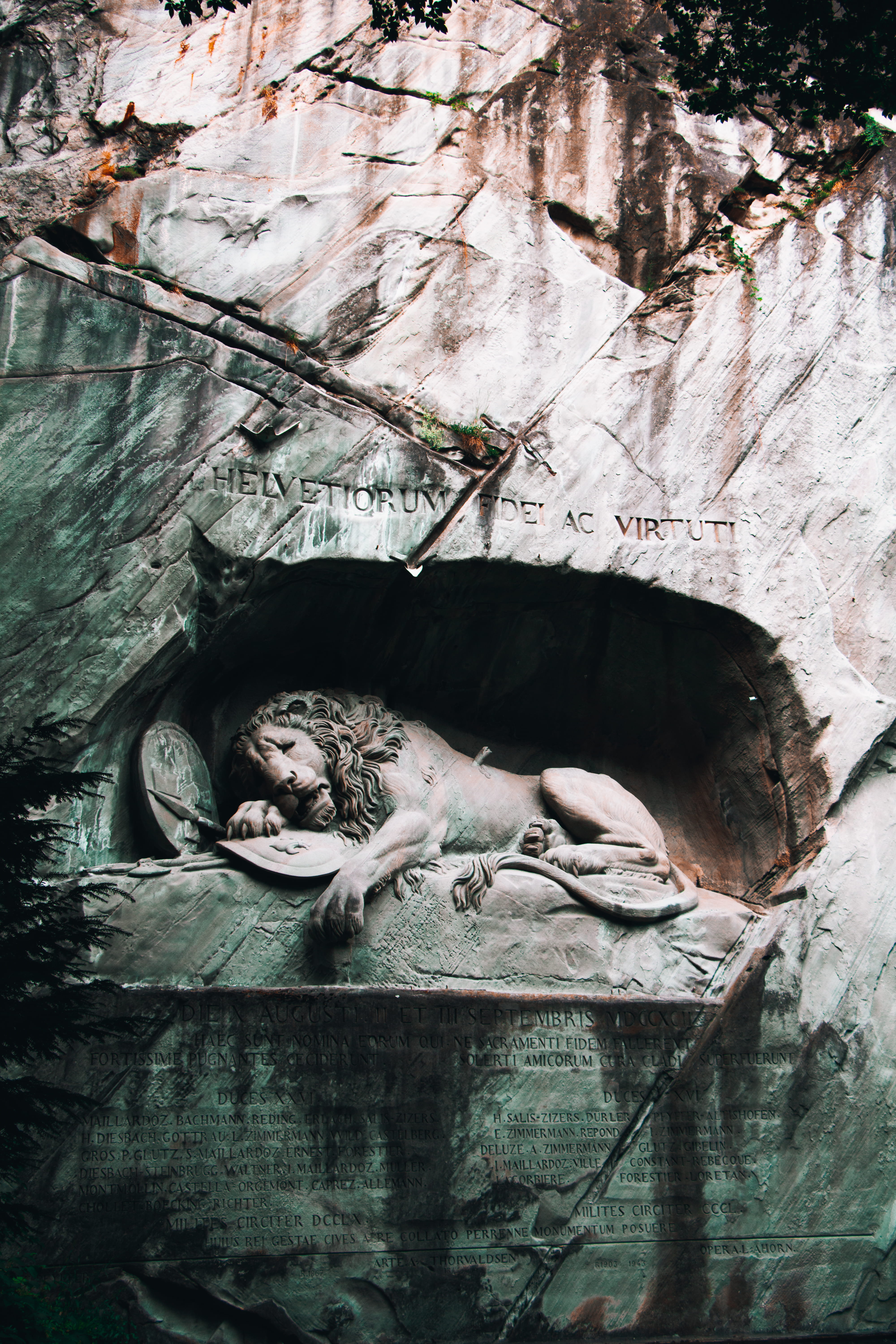 vertebrate, lizard, wildlife, animal, nature, lucerne, monument, animal wildlife, grey, reptile, panther, relaxation, statue, sleeping, no people, mammal, Phone HD Wallpaper