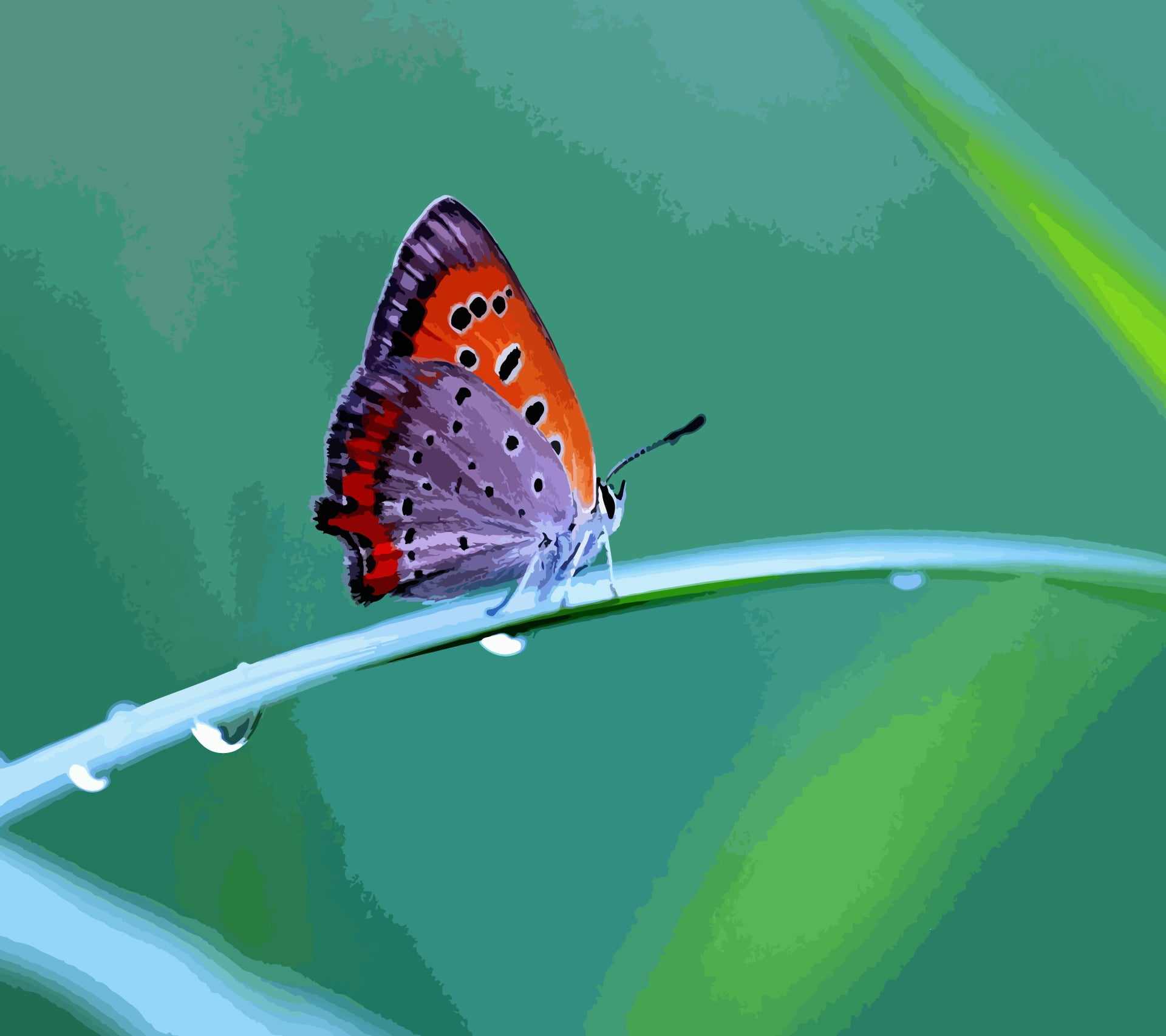 1080P, plant part, green color, beauty in nature, plant, yellow, flower, red, close-up, fish, leaf, butterfly - insect, lure, animal wing, nature, invertebrate, HD Wallpaper