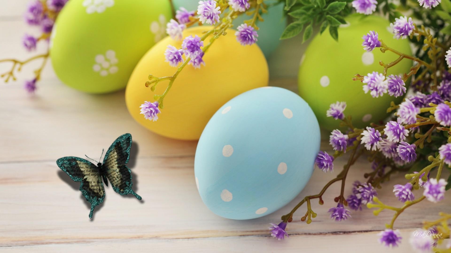 1080P, eggs, color, 3d and abstract, butterfly, flowers, HD Wallpaper