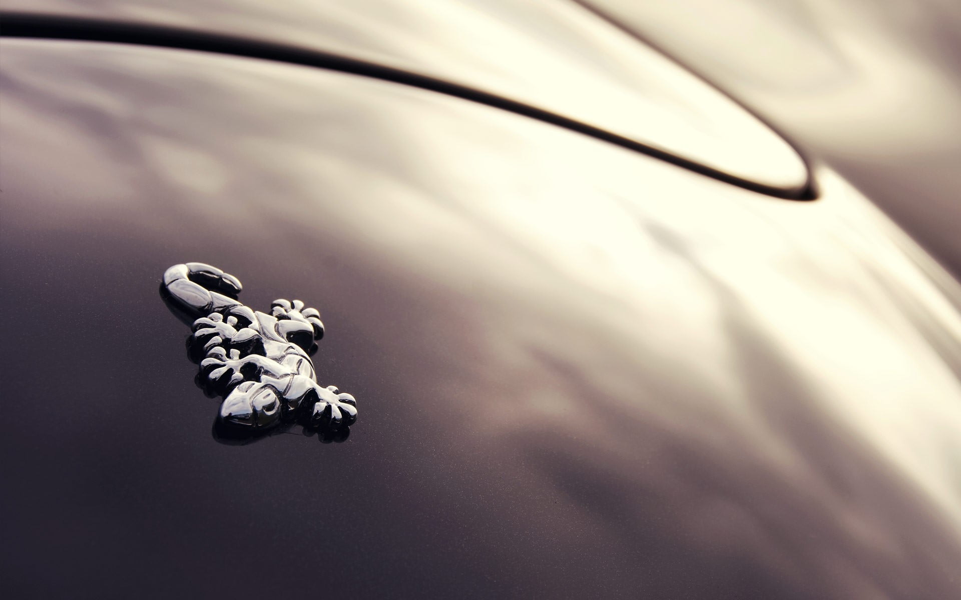 still life, Wiesmann, animal body part, water, jewelry, silver, 1080P, close-up, creativity, nature, day, car, lizard, representation, focus on foreground, HD Wallpaper